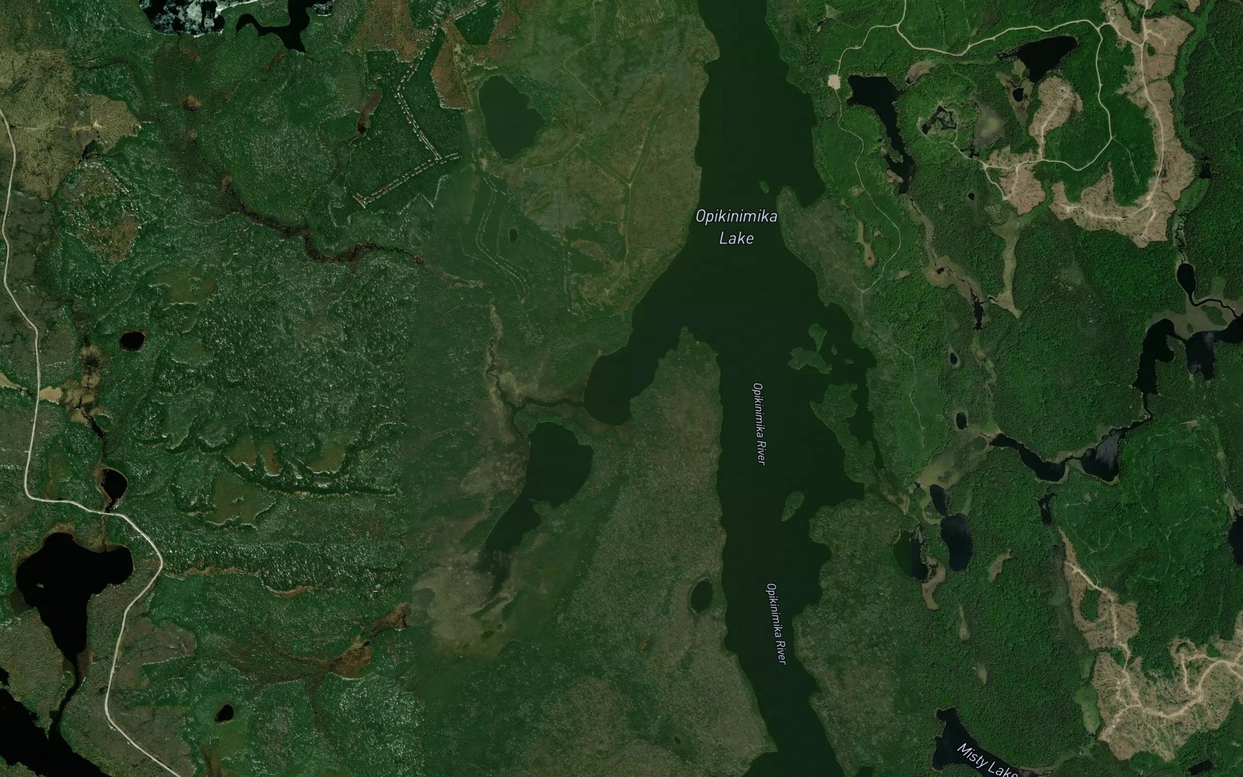Satellite map of the Coonie's Bay
