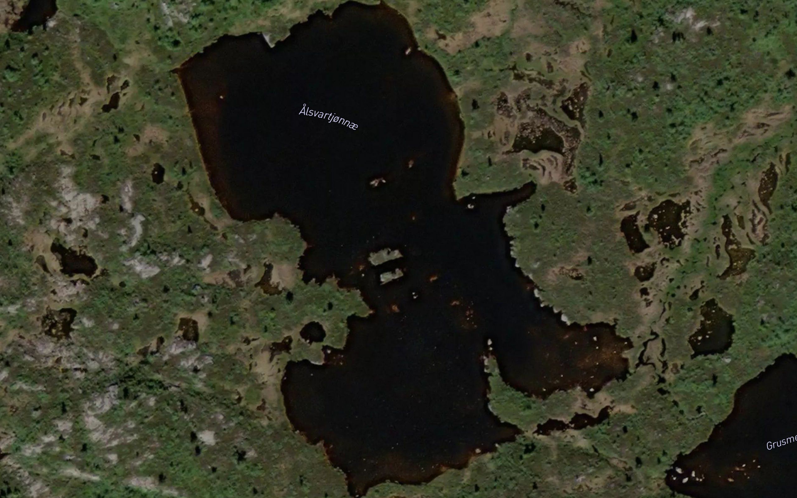 Alsvartjonnae