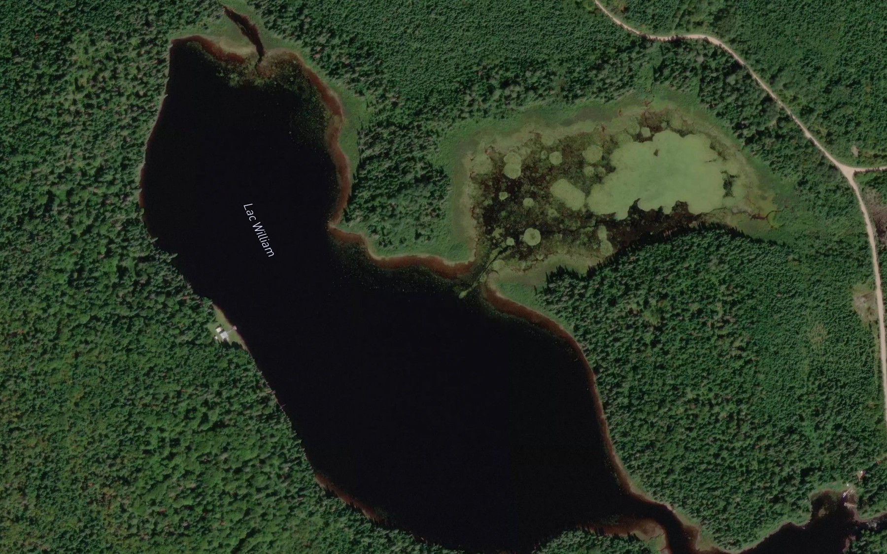 Satellite map of the Lac William