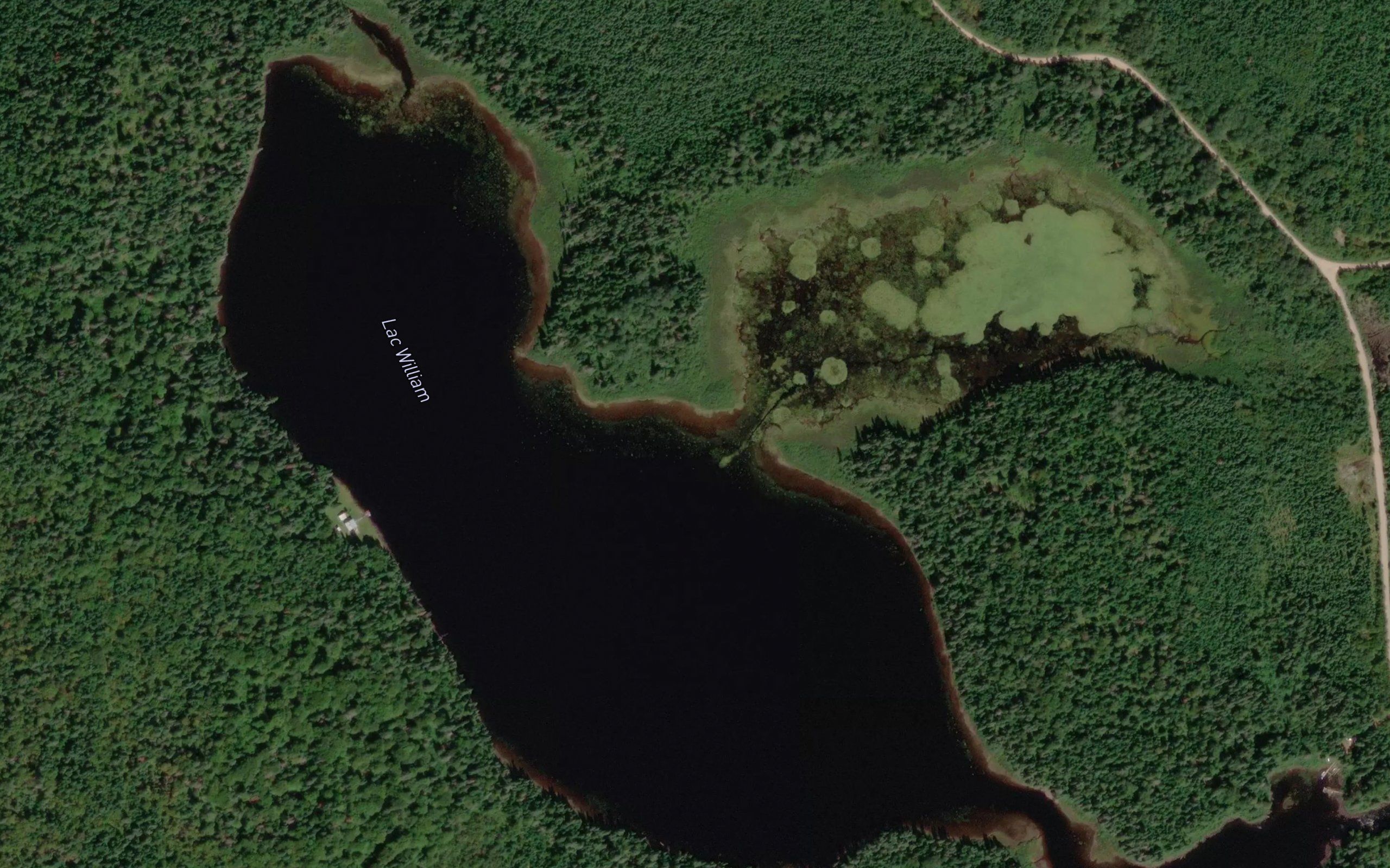 Lac William