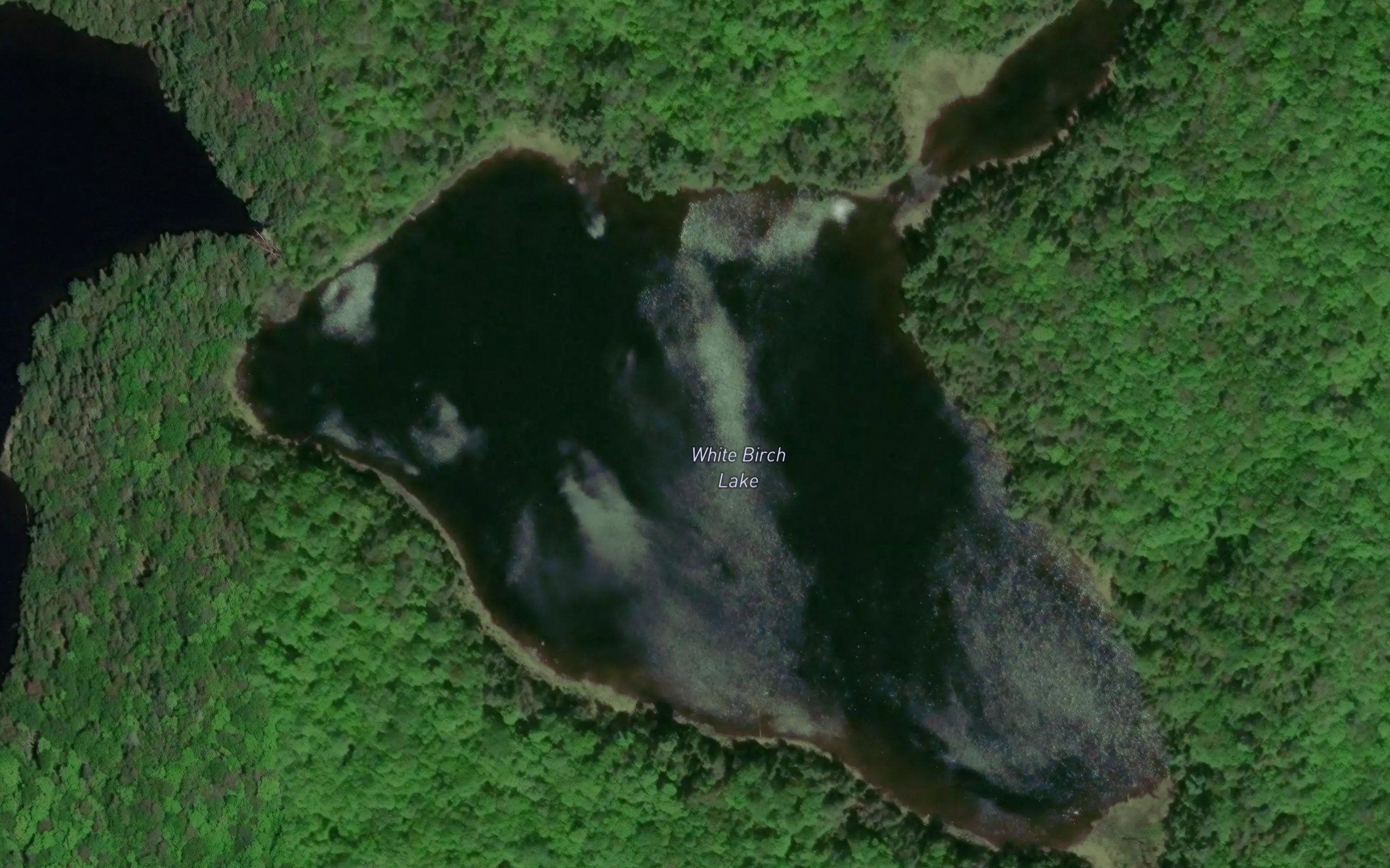 White Birch Lake
