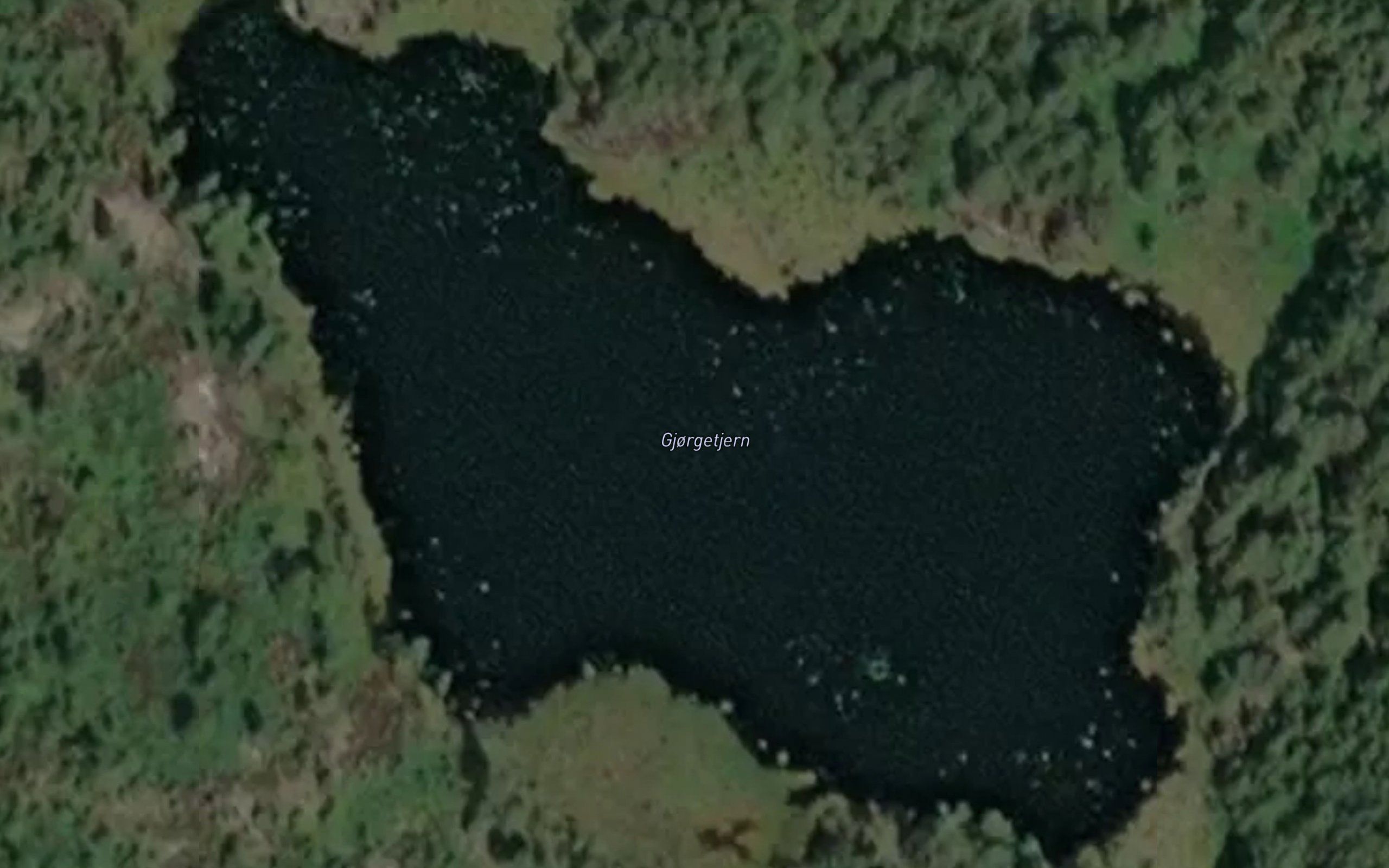 Gjorgetjern