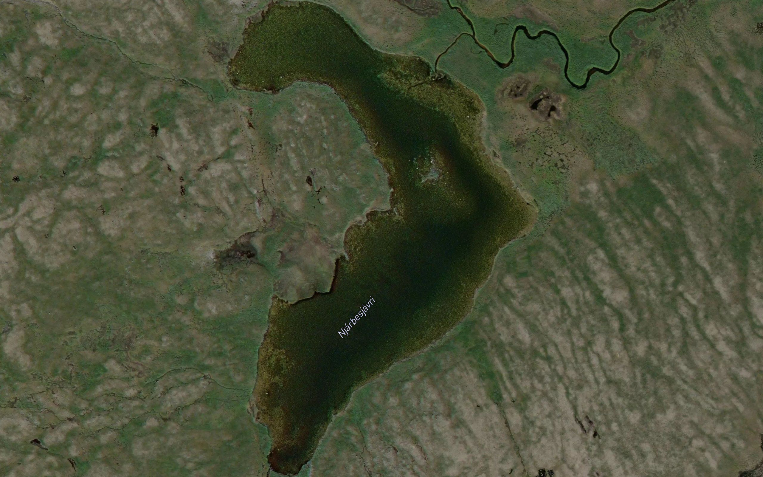 Njarbesjavri