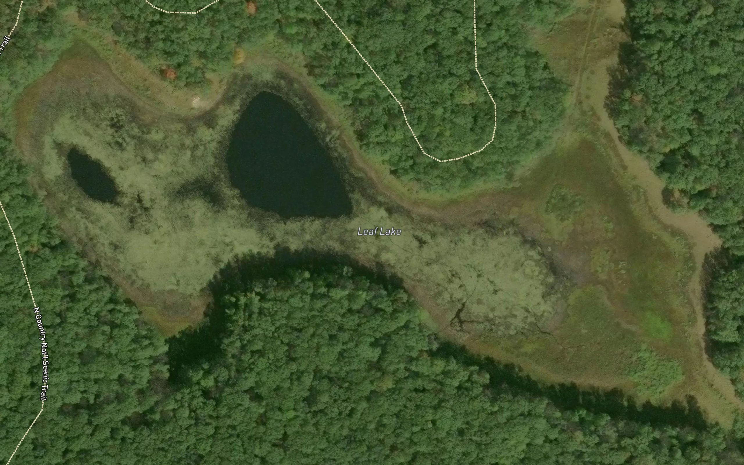 Leaf Lake