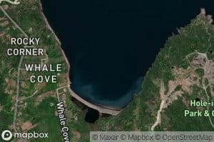 Whale Cove