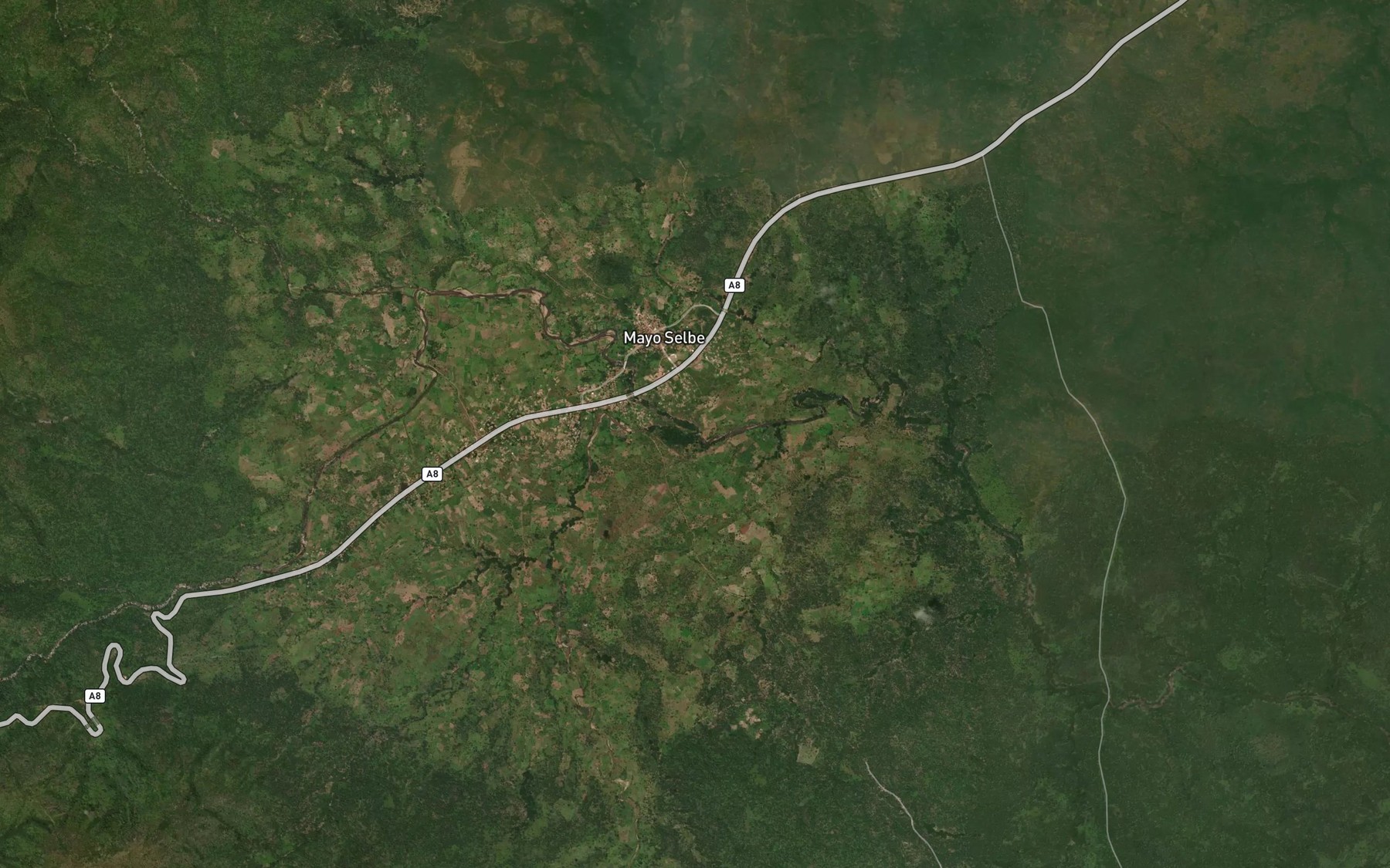 Satellite map of the River Wombo