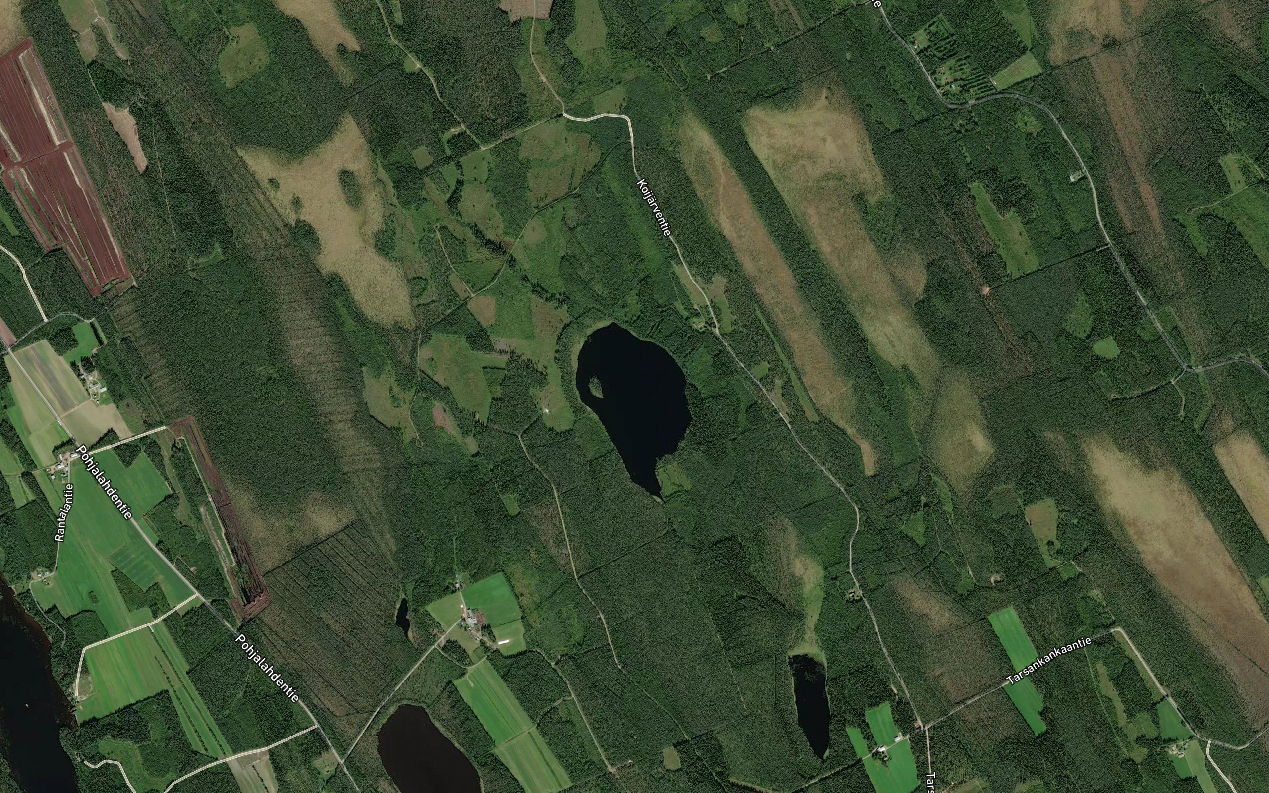 Iso Koijarvi