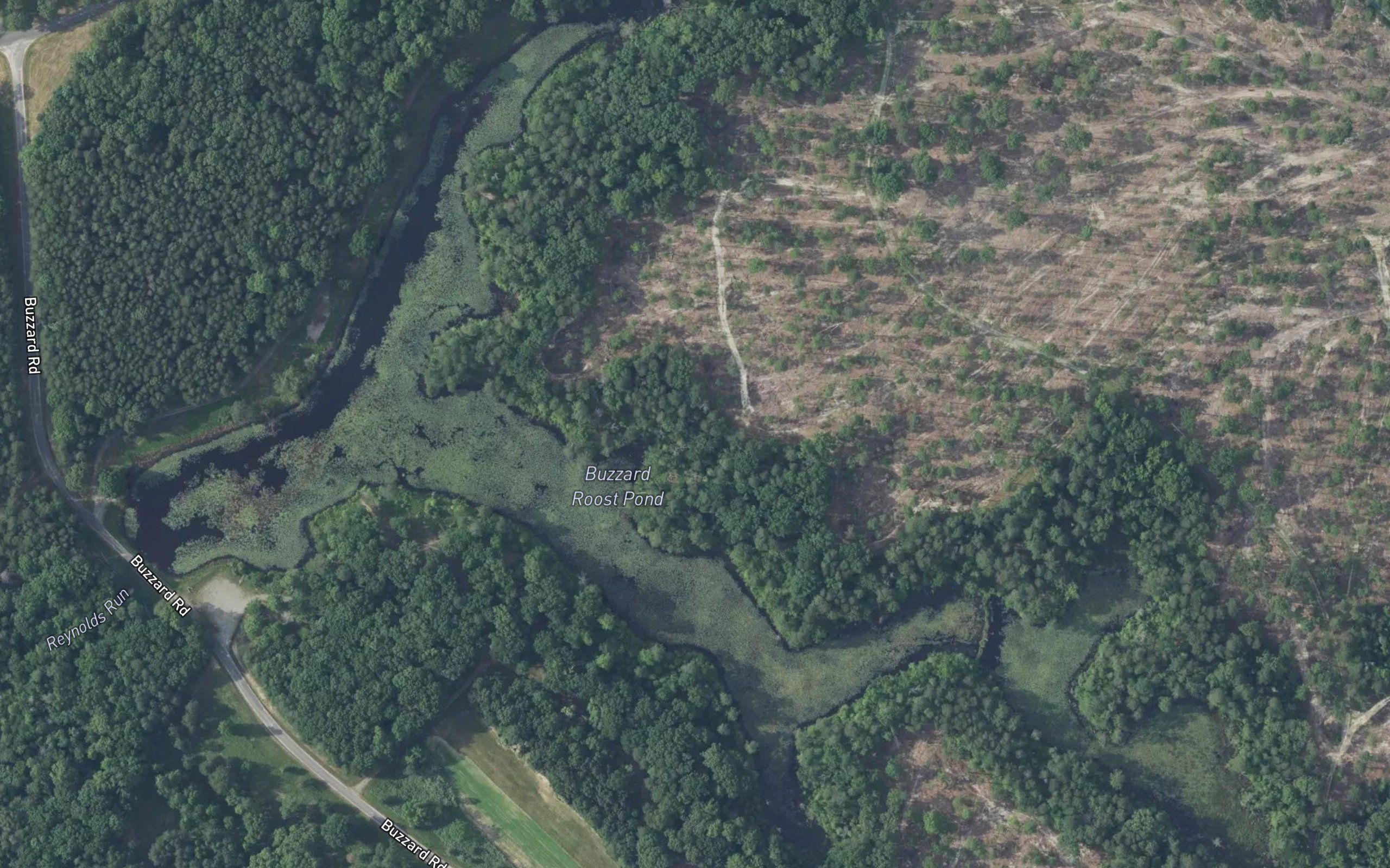 Buzzard Roost Pond