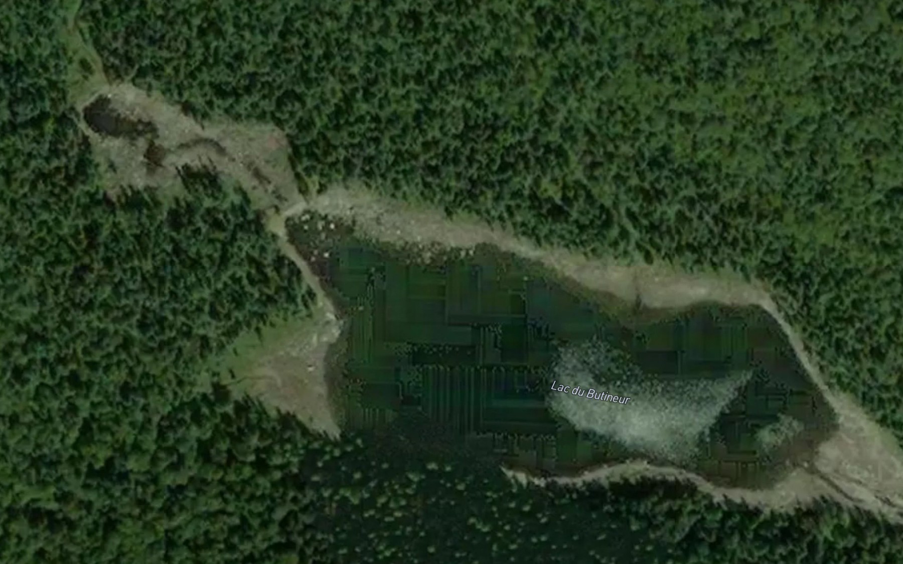 Satellite map of the Lac du Butineur