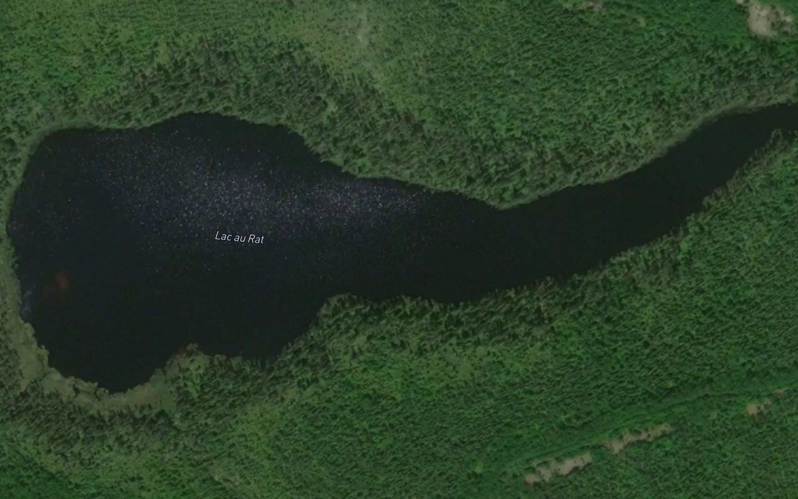 Lac au Rat