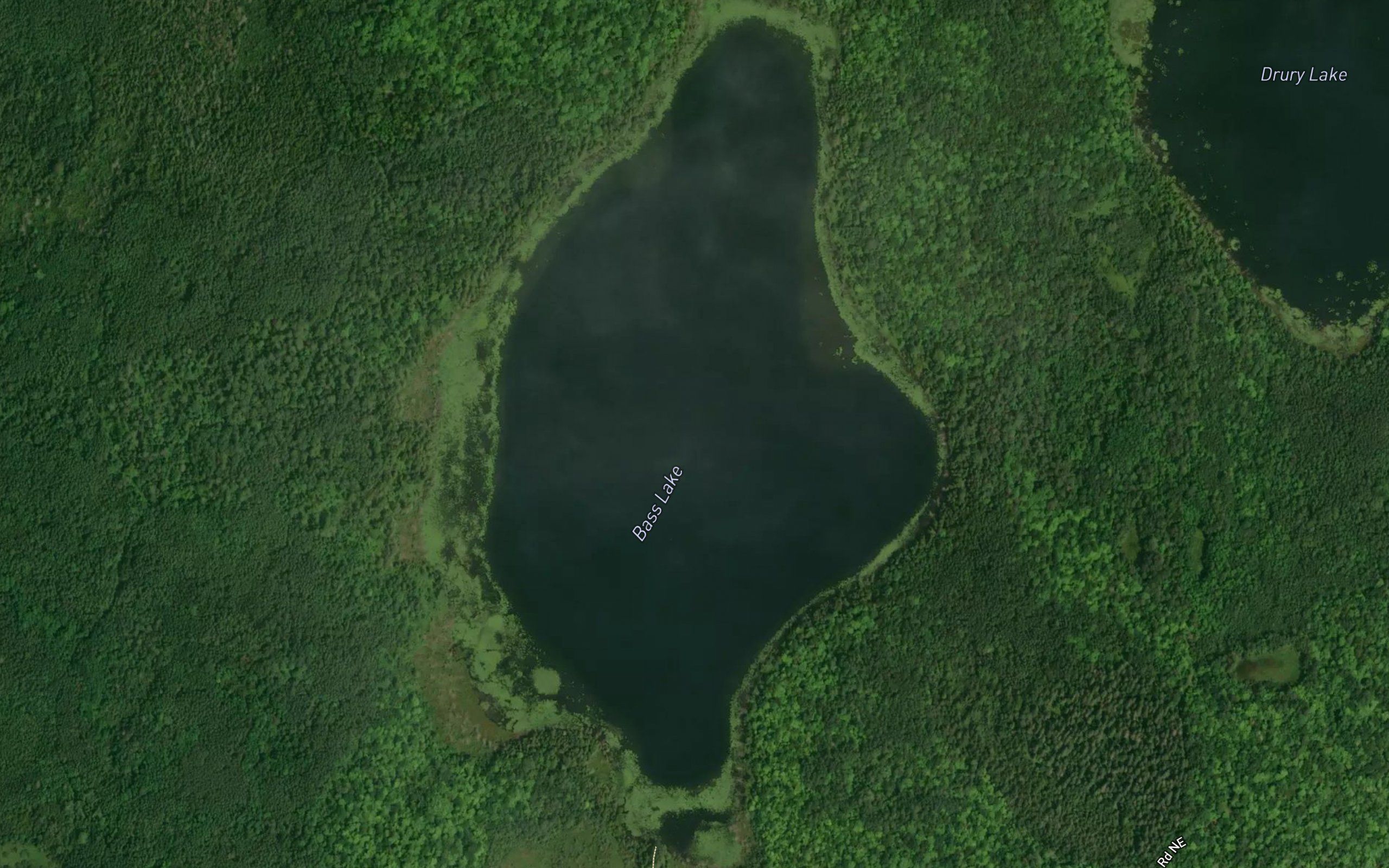 Bass Lake