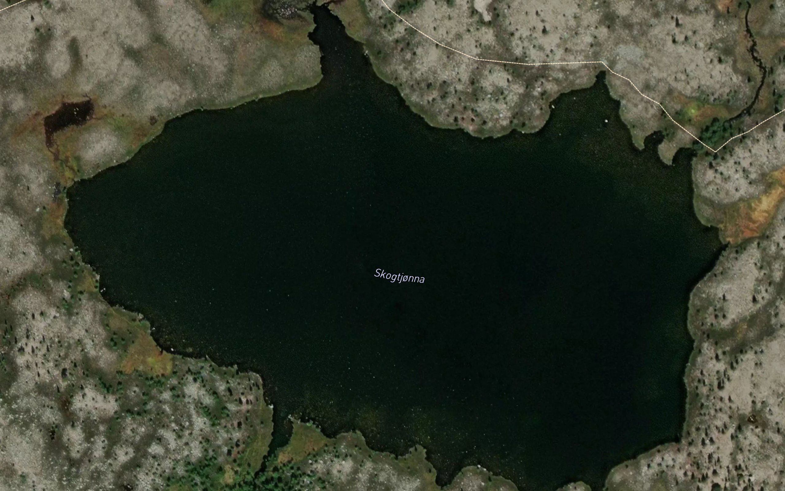 Skogtjonna