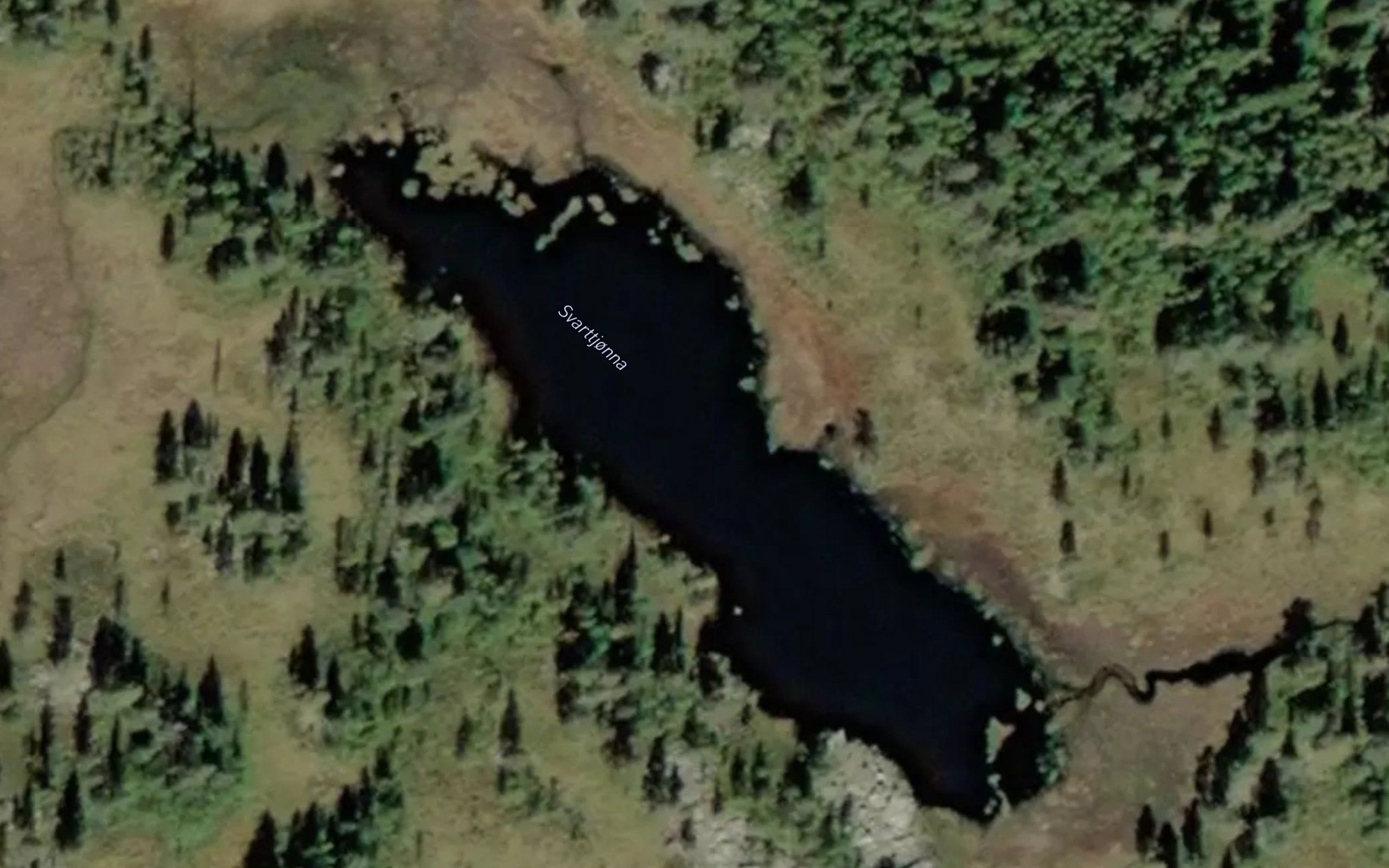 Svarttjorna