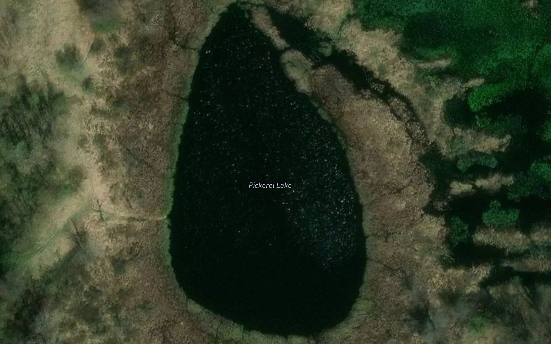 Satellite map of the Pickerel Lake