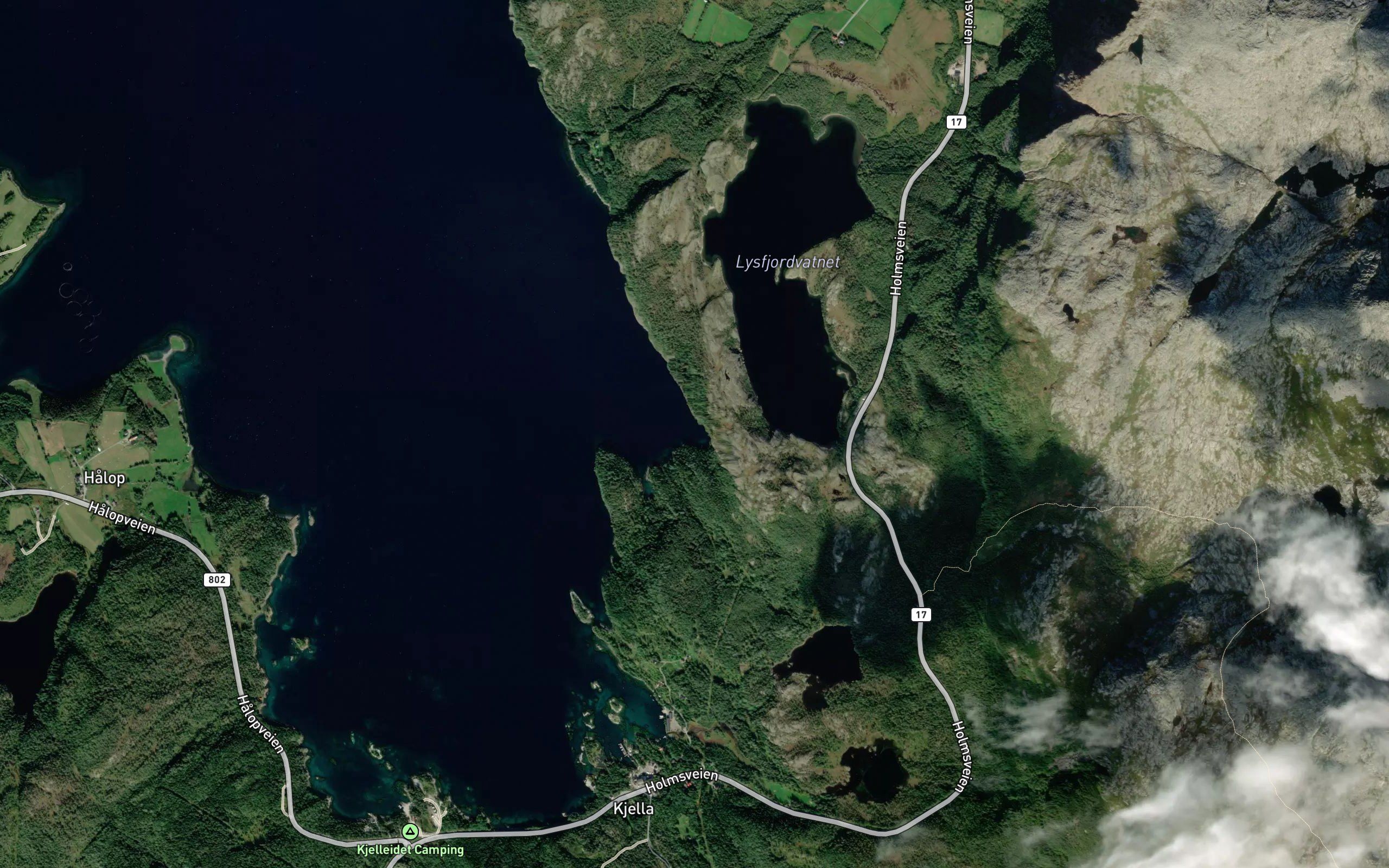 Skarvurvika