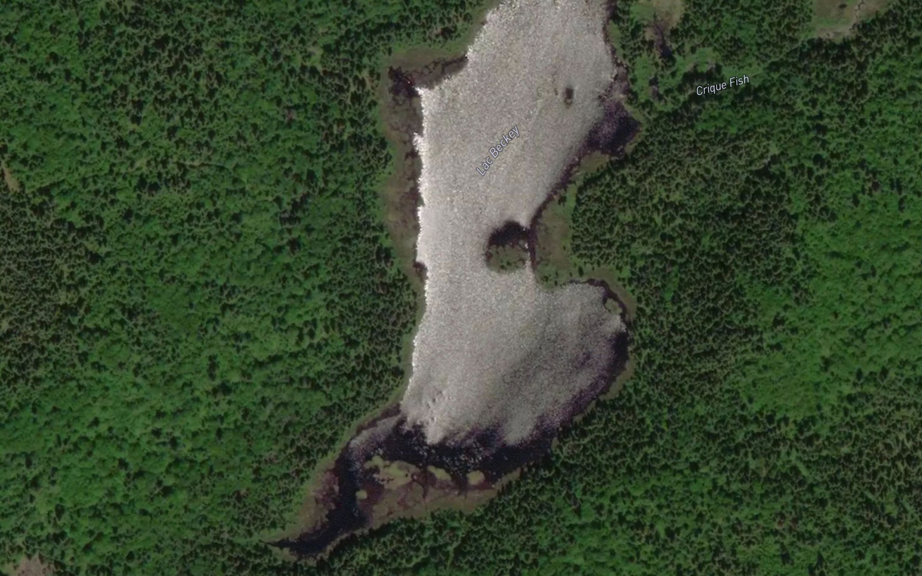 Satellite map of the Lac Beckey