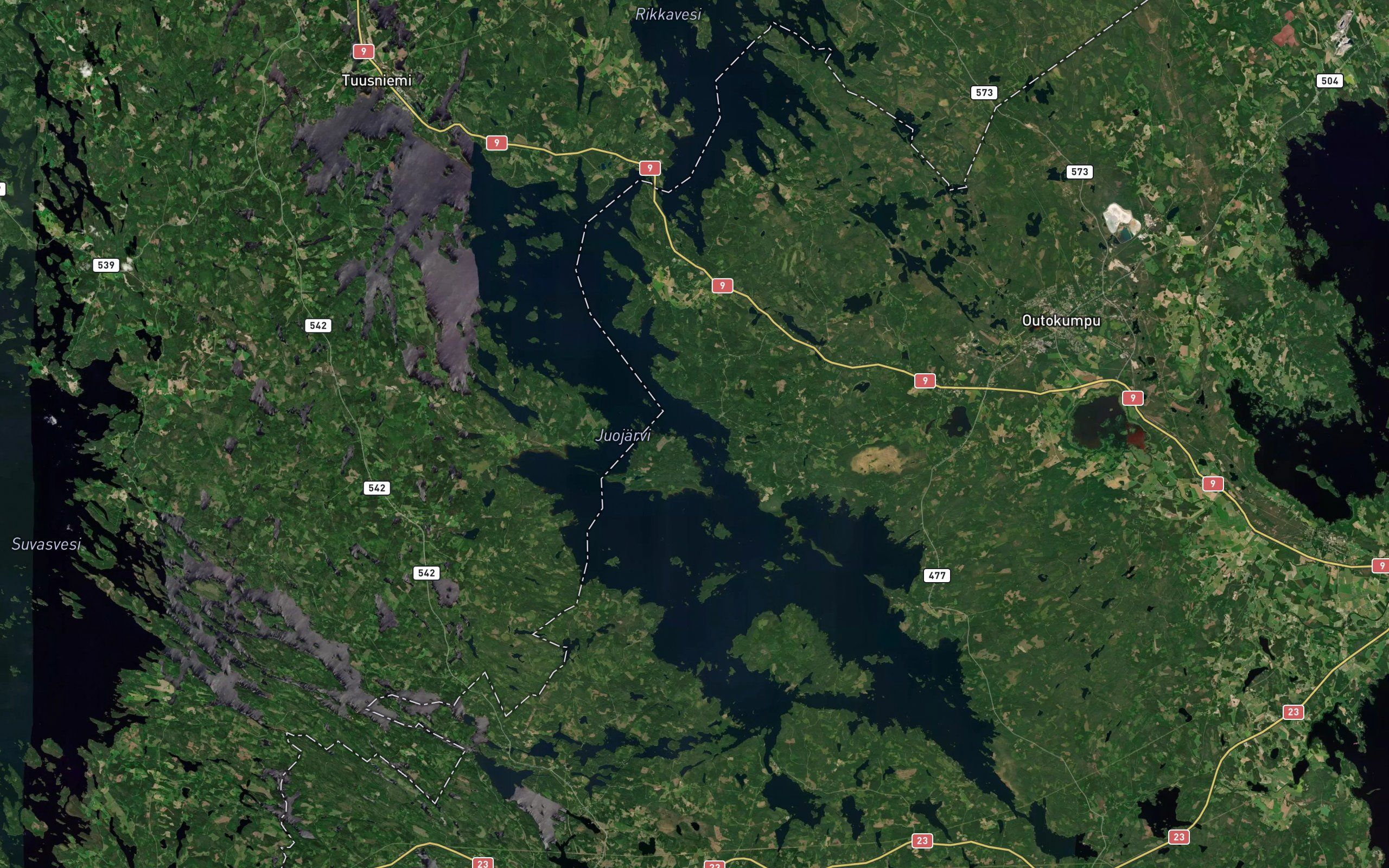 Juurikkaselka