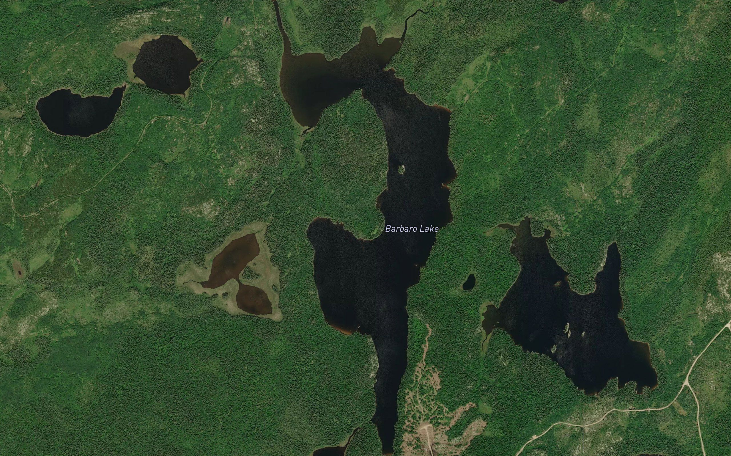 Barbaro Lake