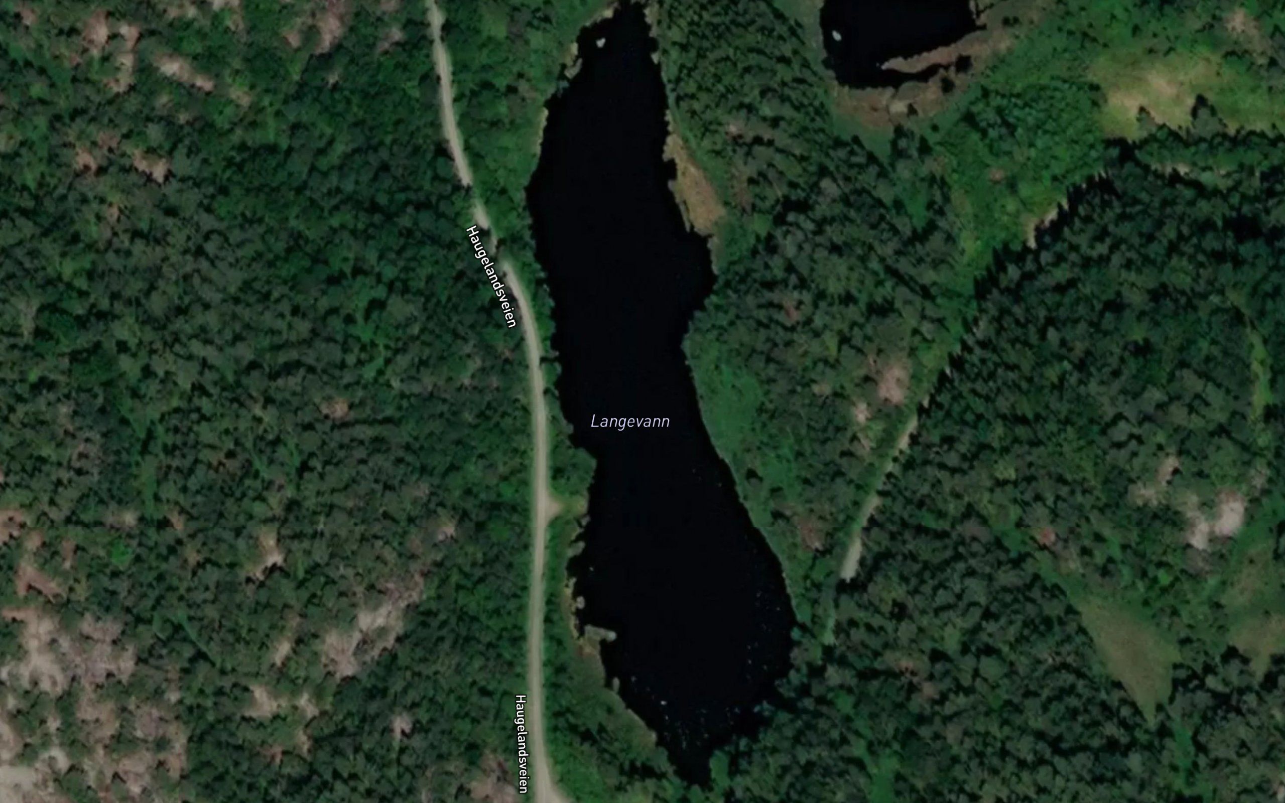 Langevatnet