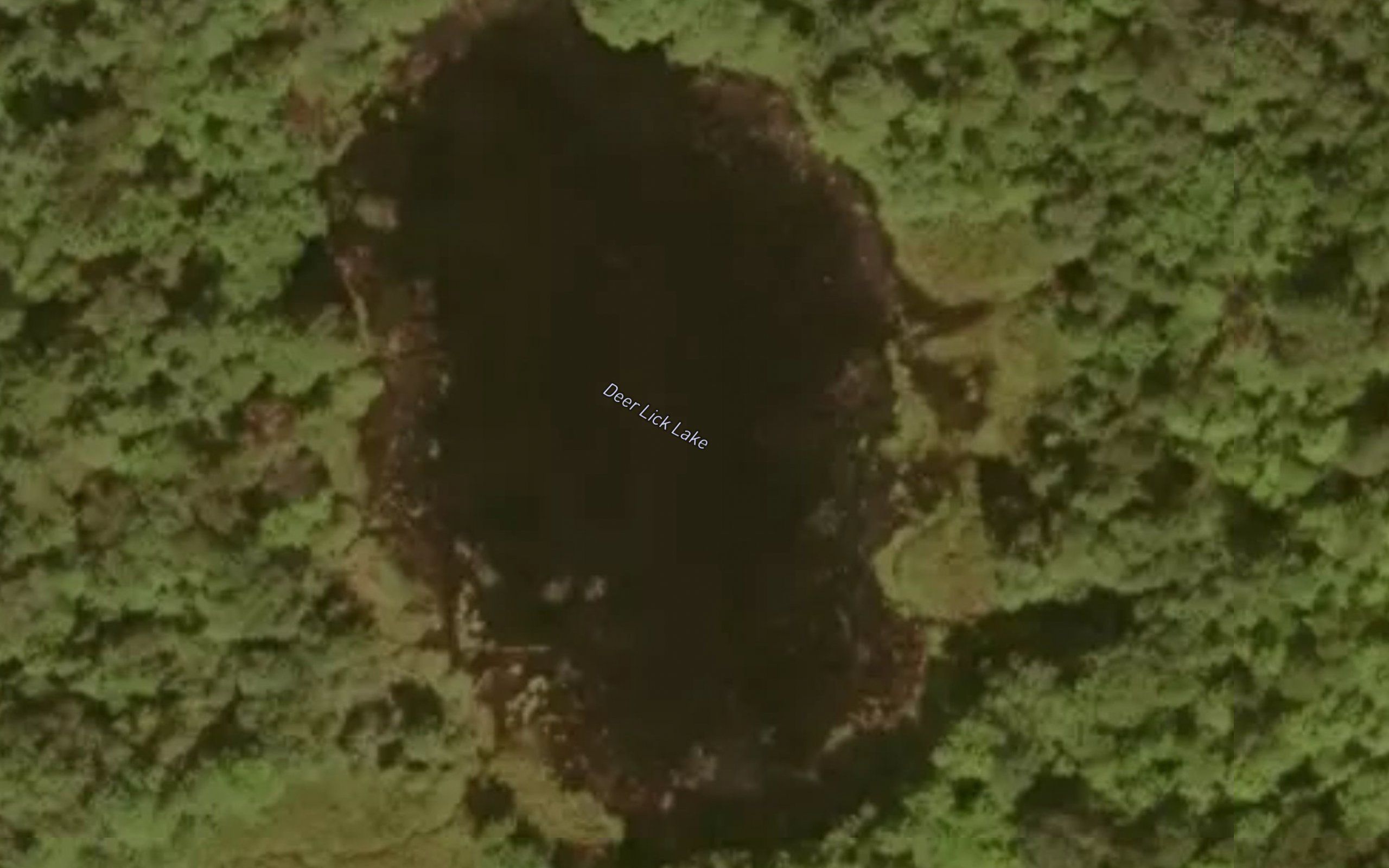 Deer Lick Lake