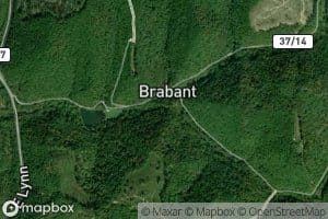 Left Fork Lick Creek