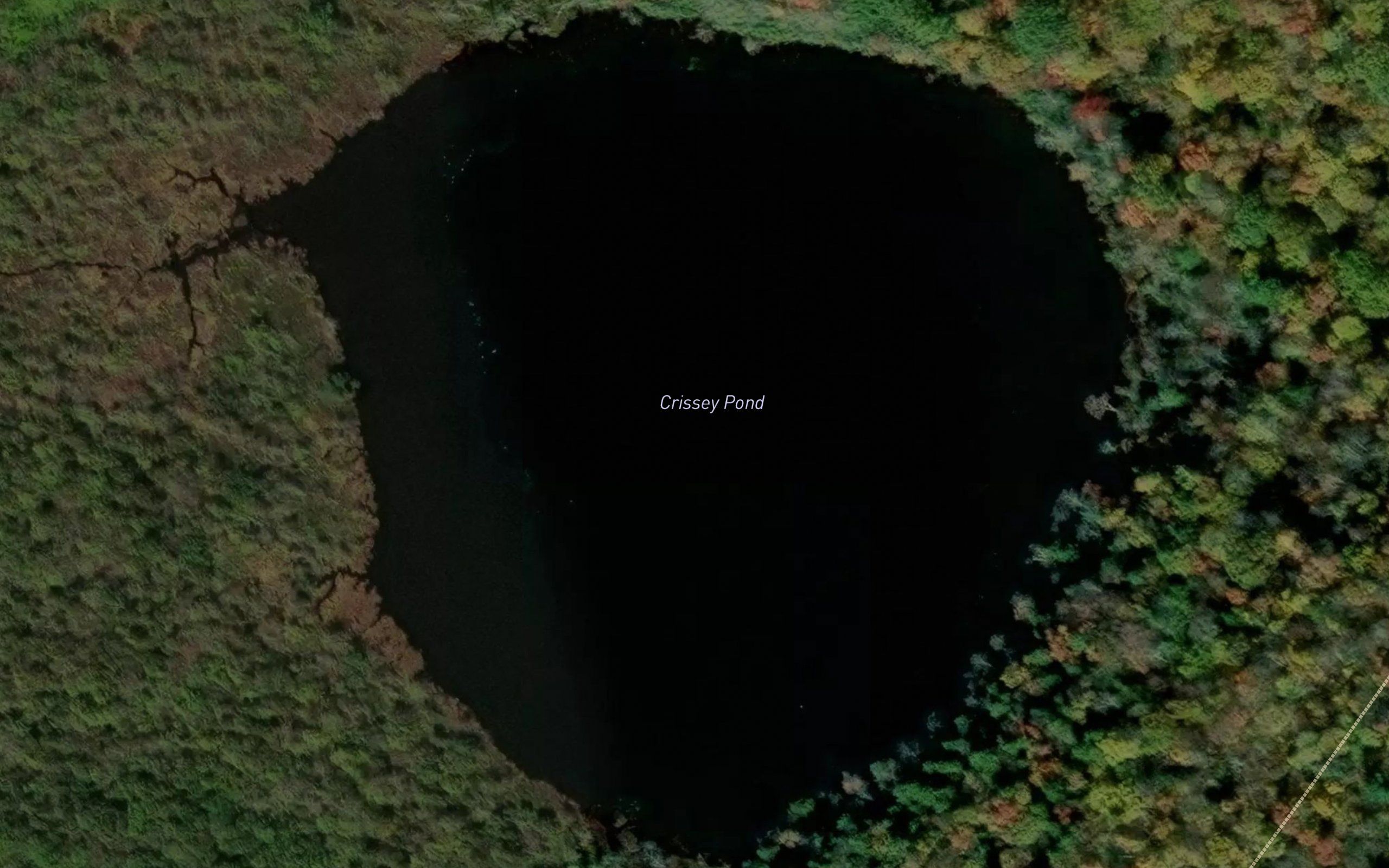 Crissey Pond
