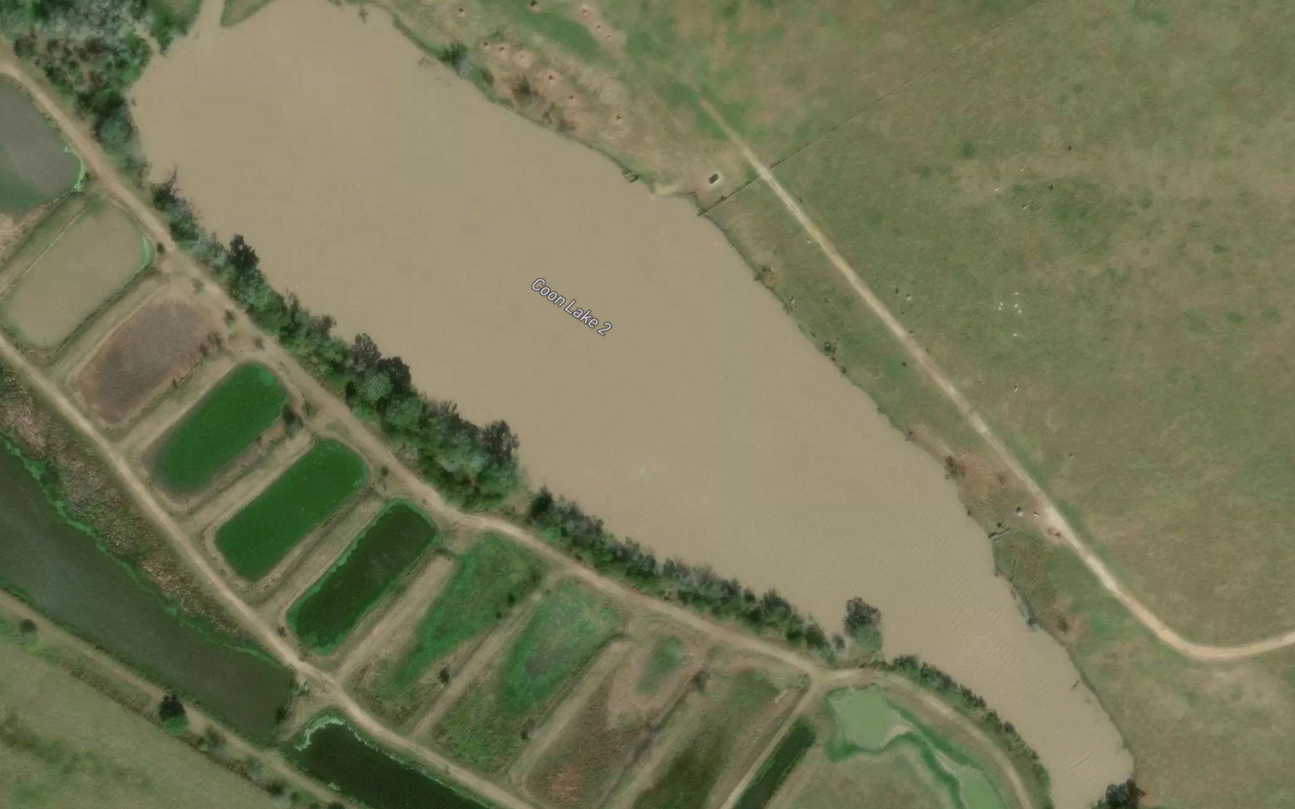 Coon Lake 2