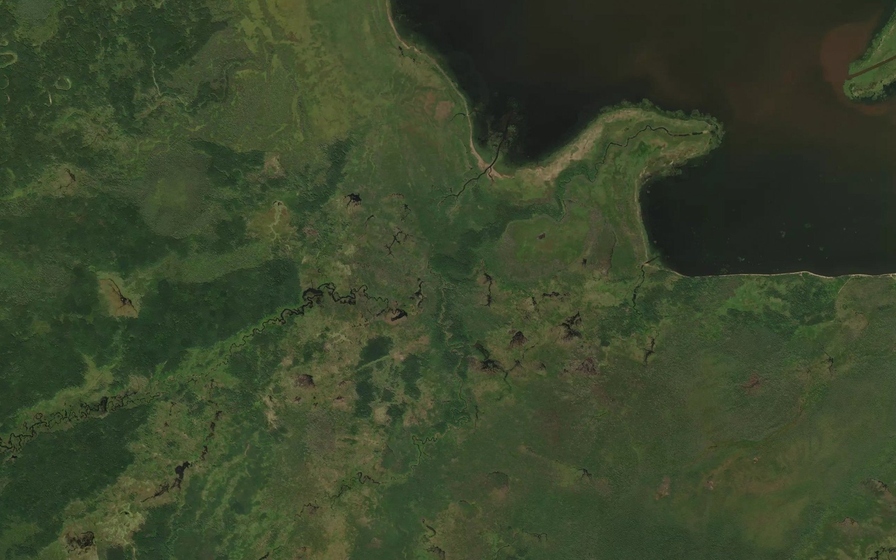 Satellite map of the Camp Seven Creek