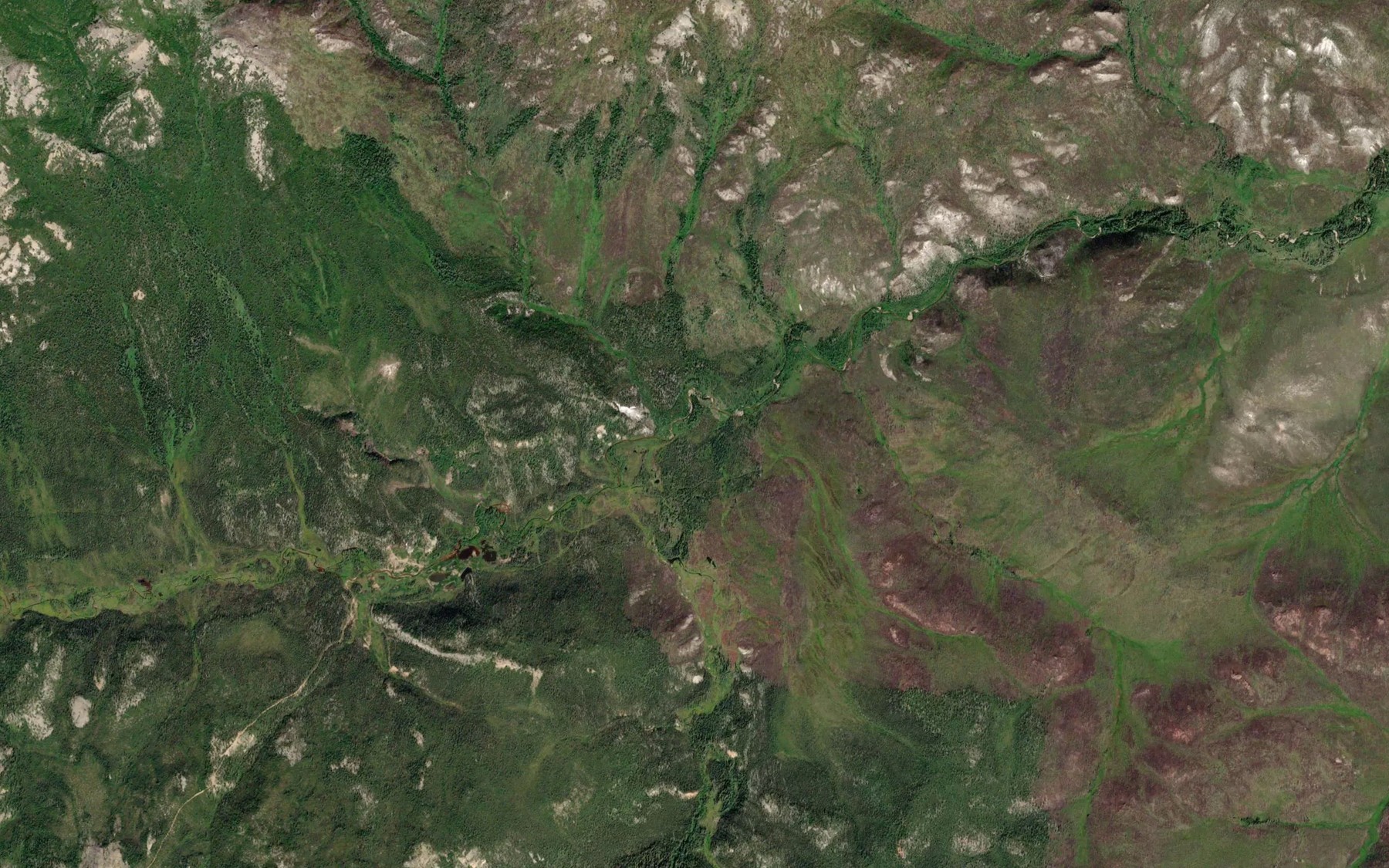 Satellite map of the Spruce Creek
