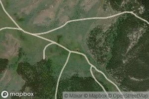 Satellite map of the Two Sam Spring