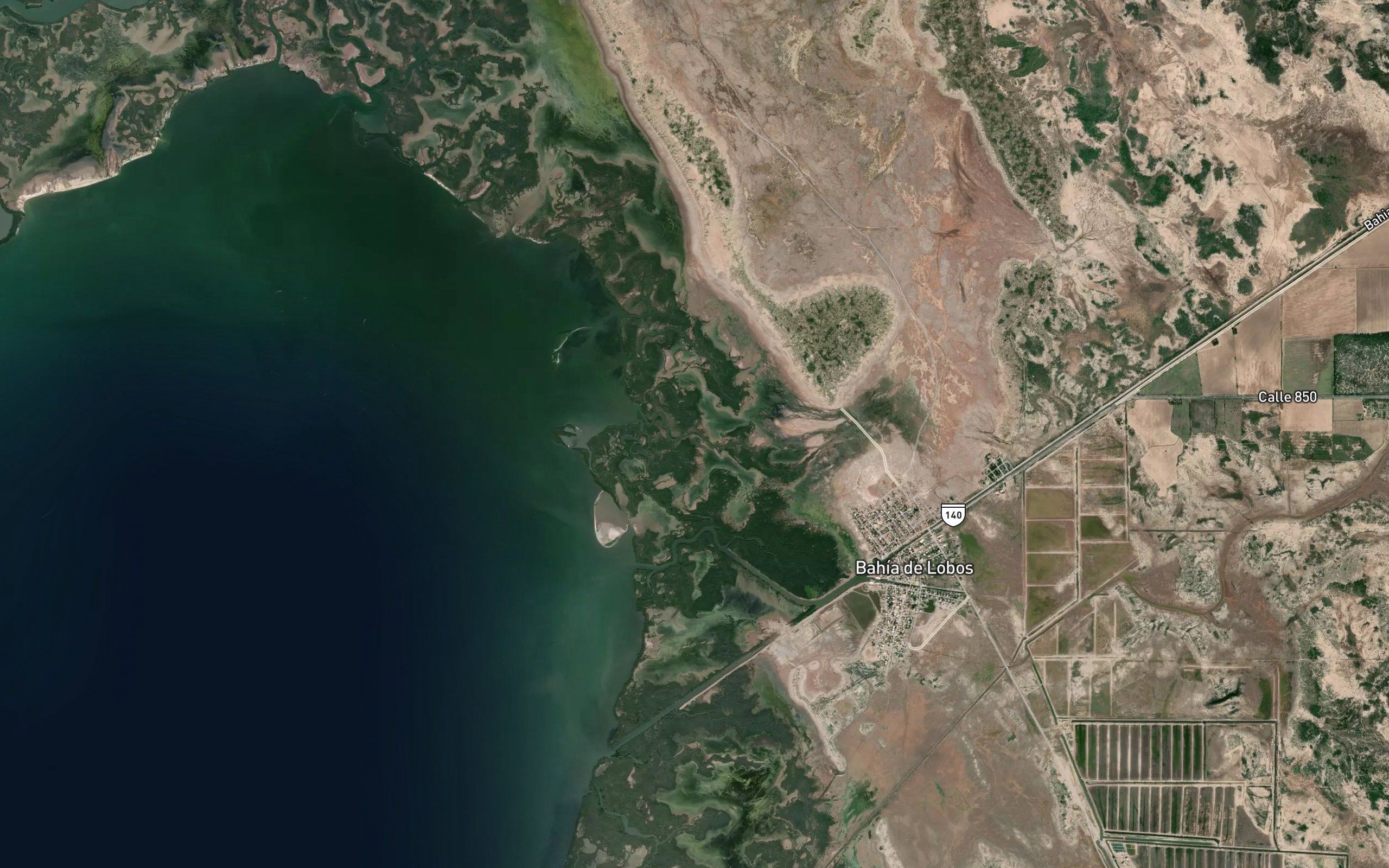 Estero el Bosque