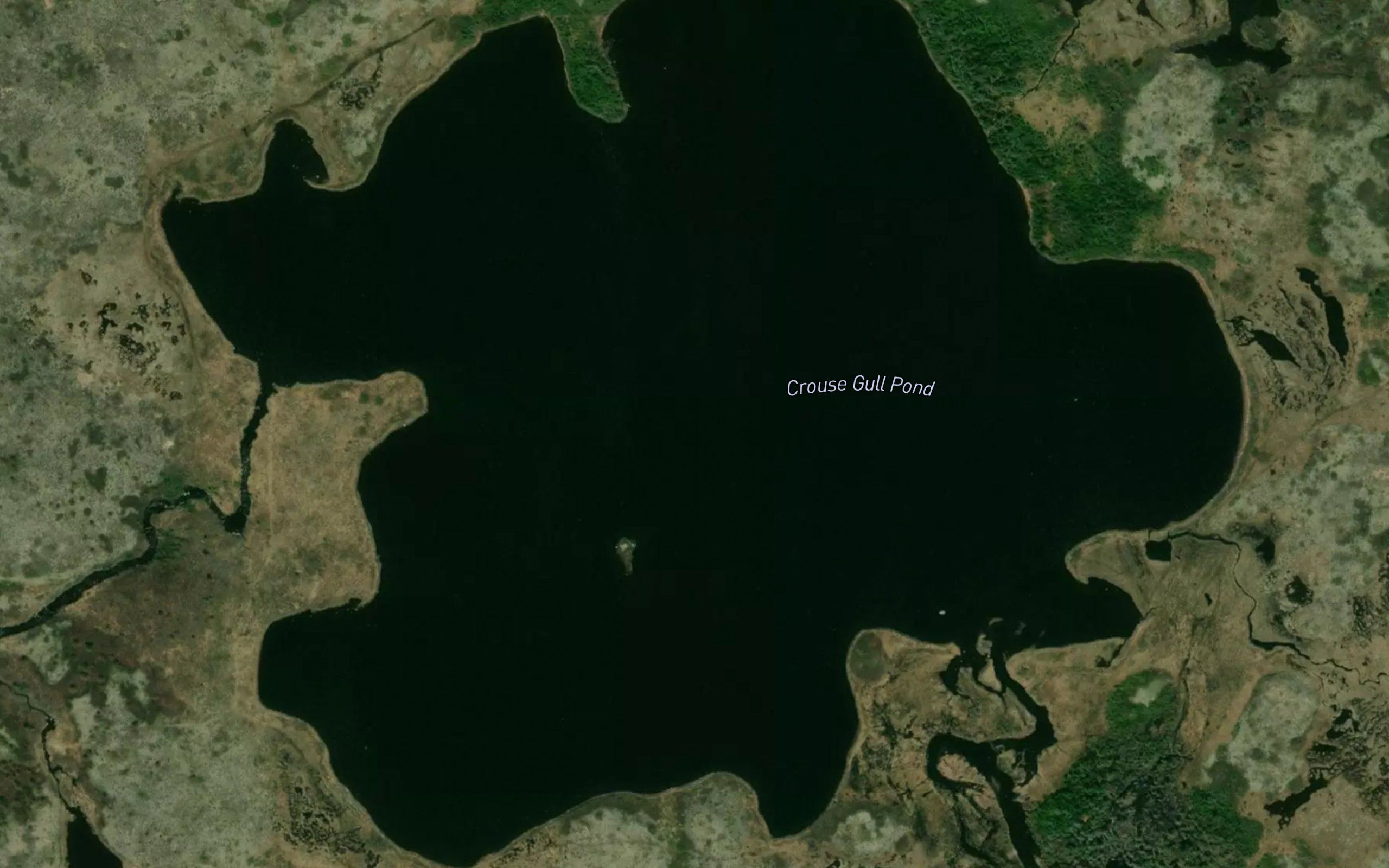 Crouse Gull Pond