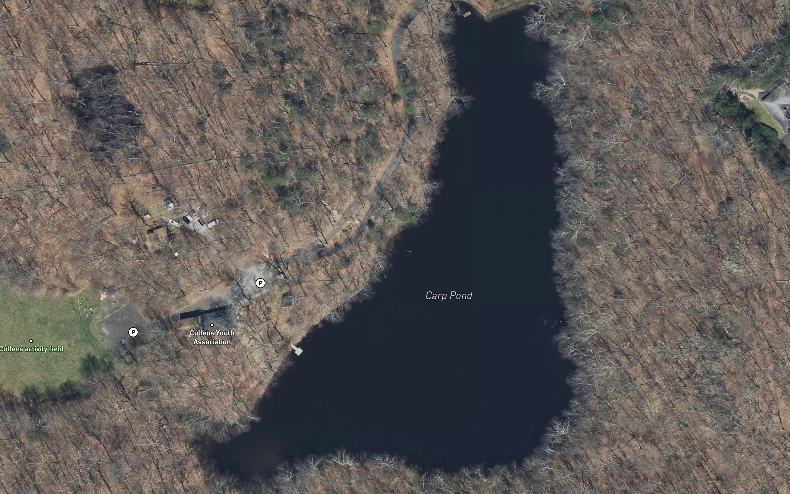 Carp Pond