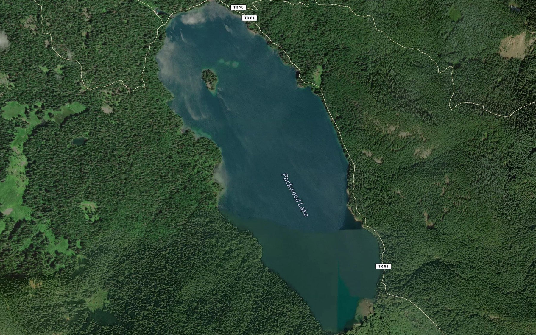 Satellite map of the Packwood Lake