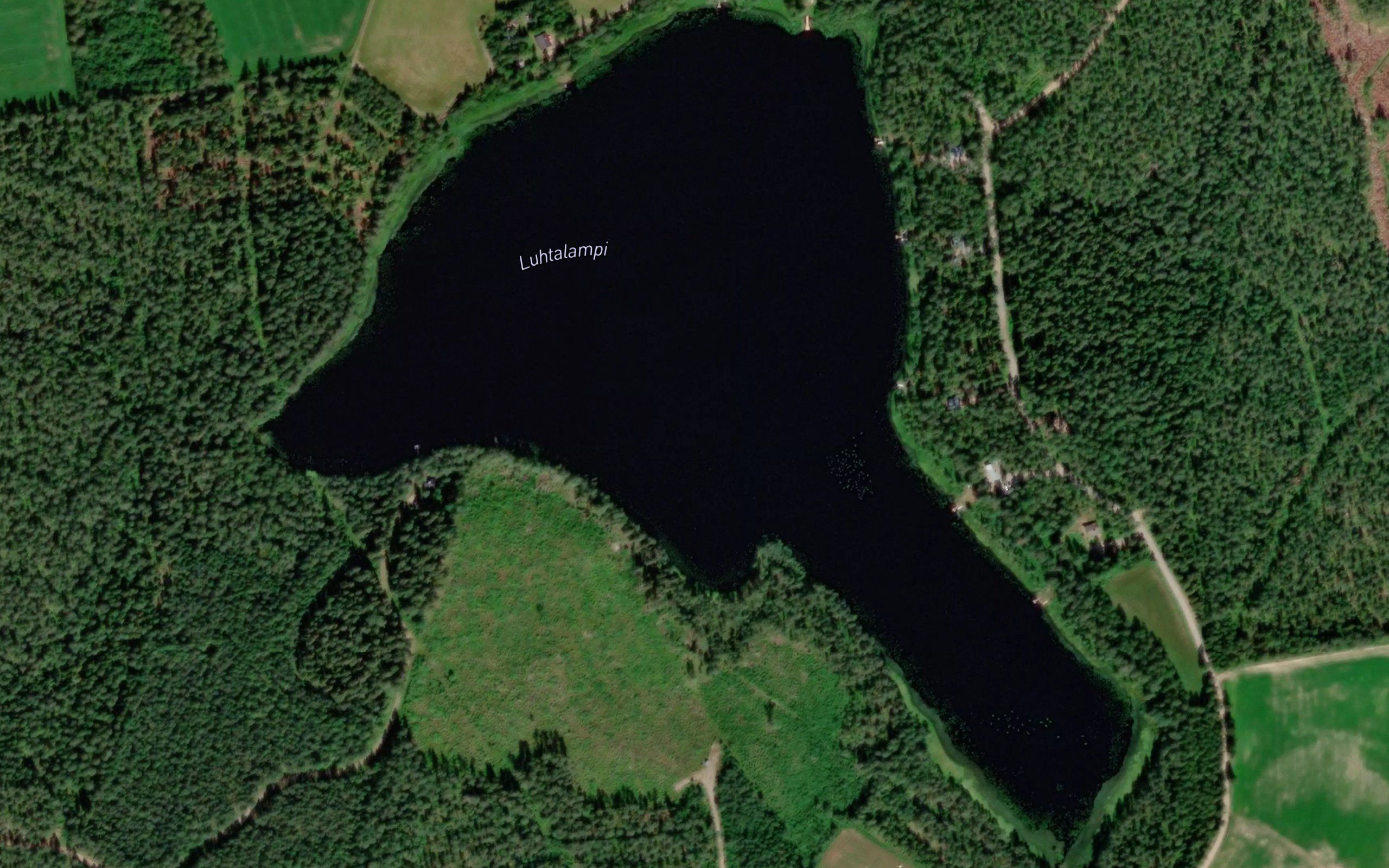 Luhtalampi