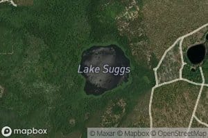 Lake Suggs