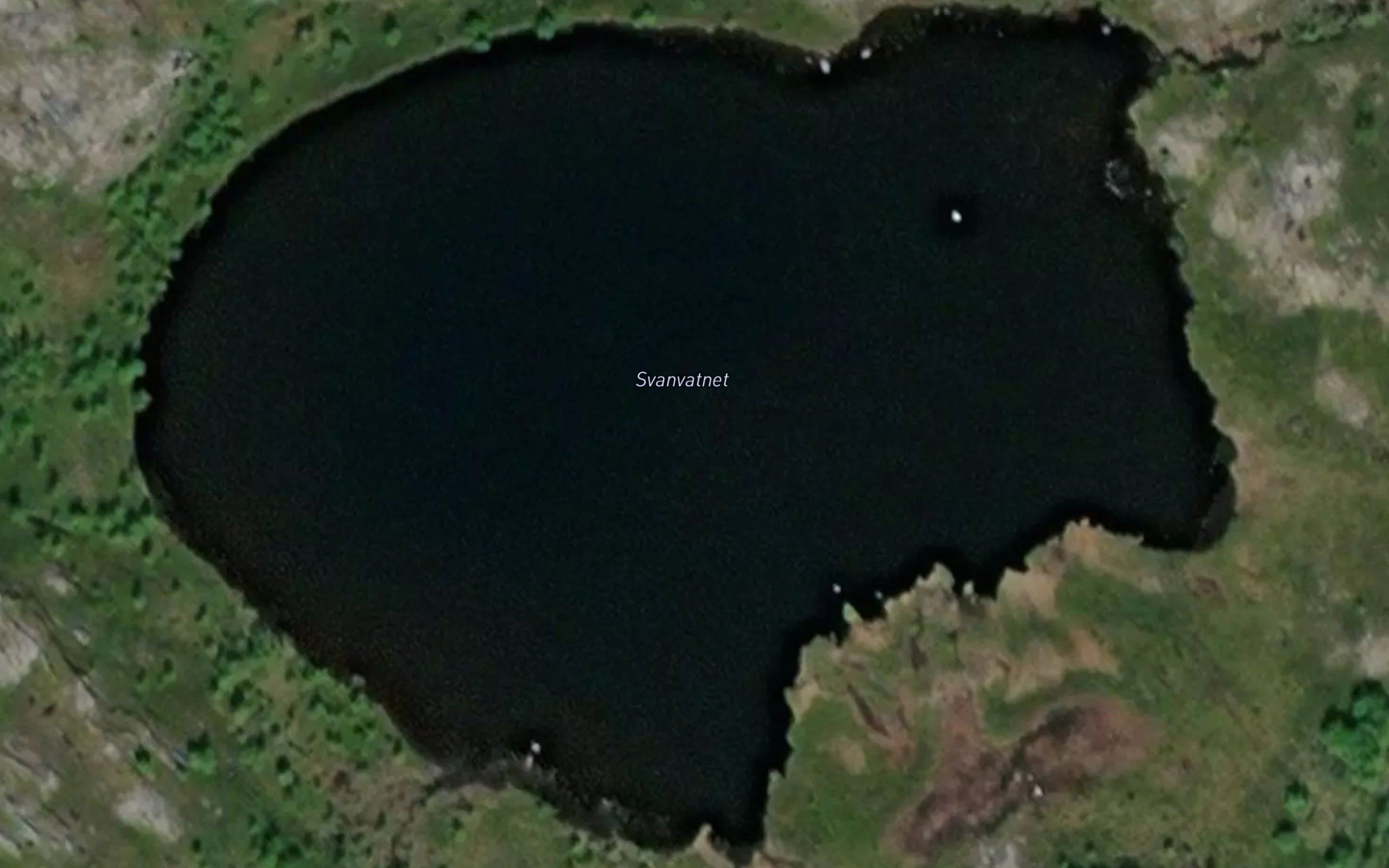 Svanvatnet