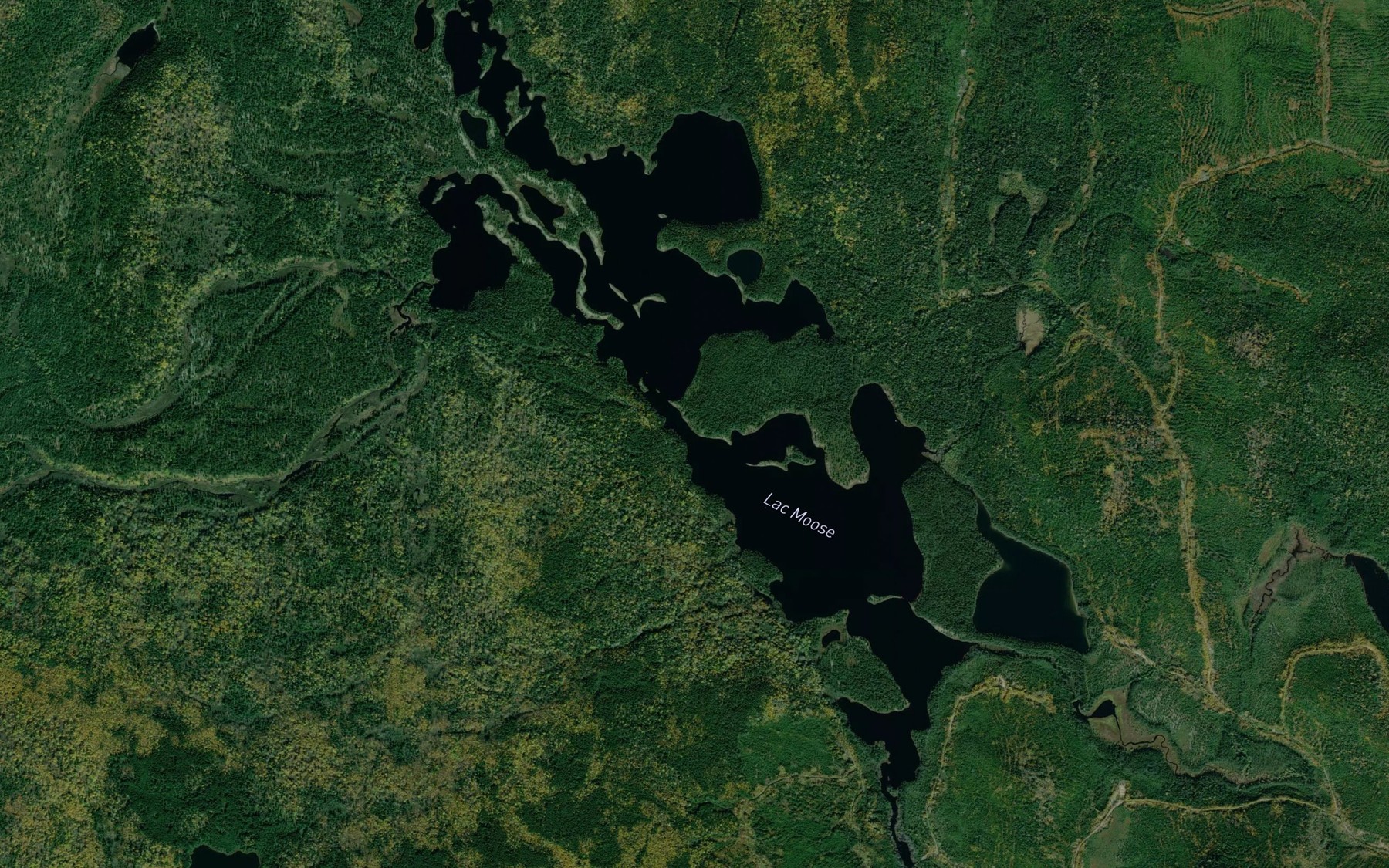 Satellite map of the Lac Moose