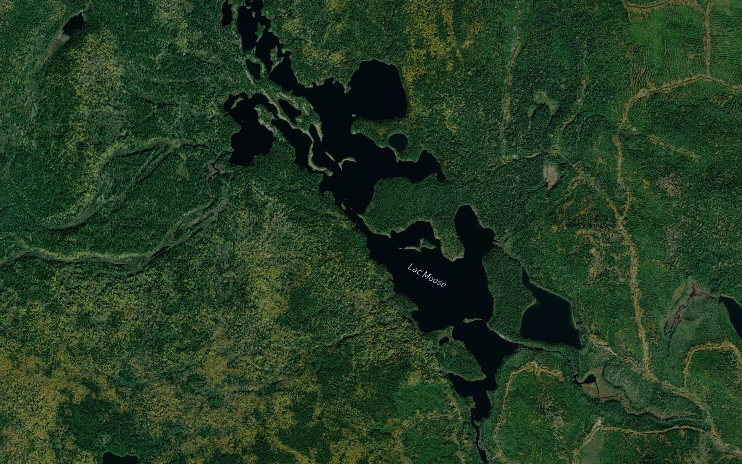 Lac Moose