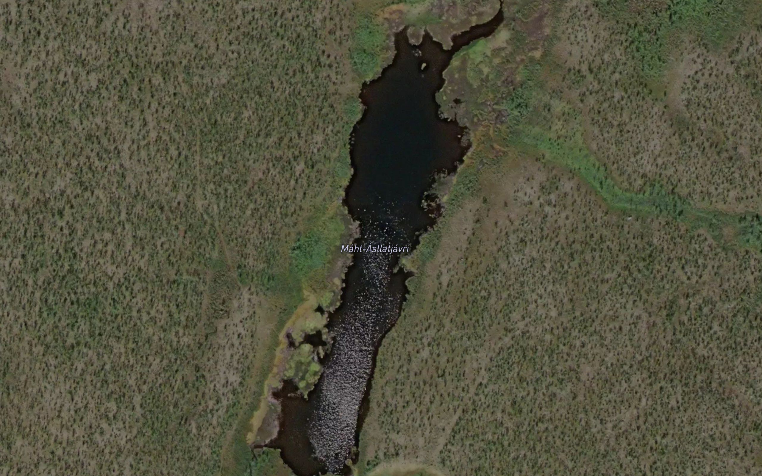 Mattaslatjavri