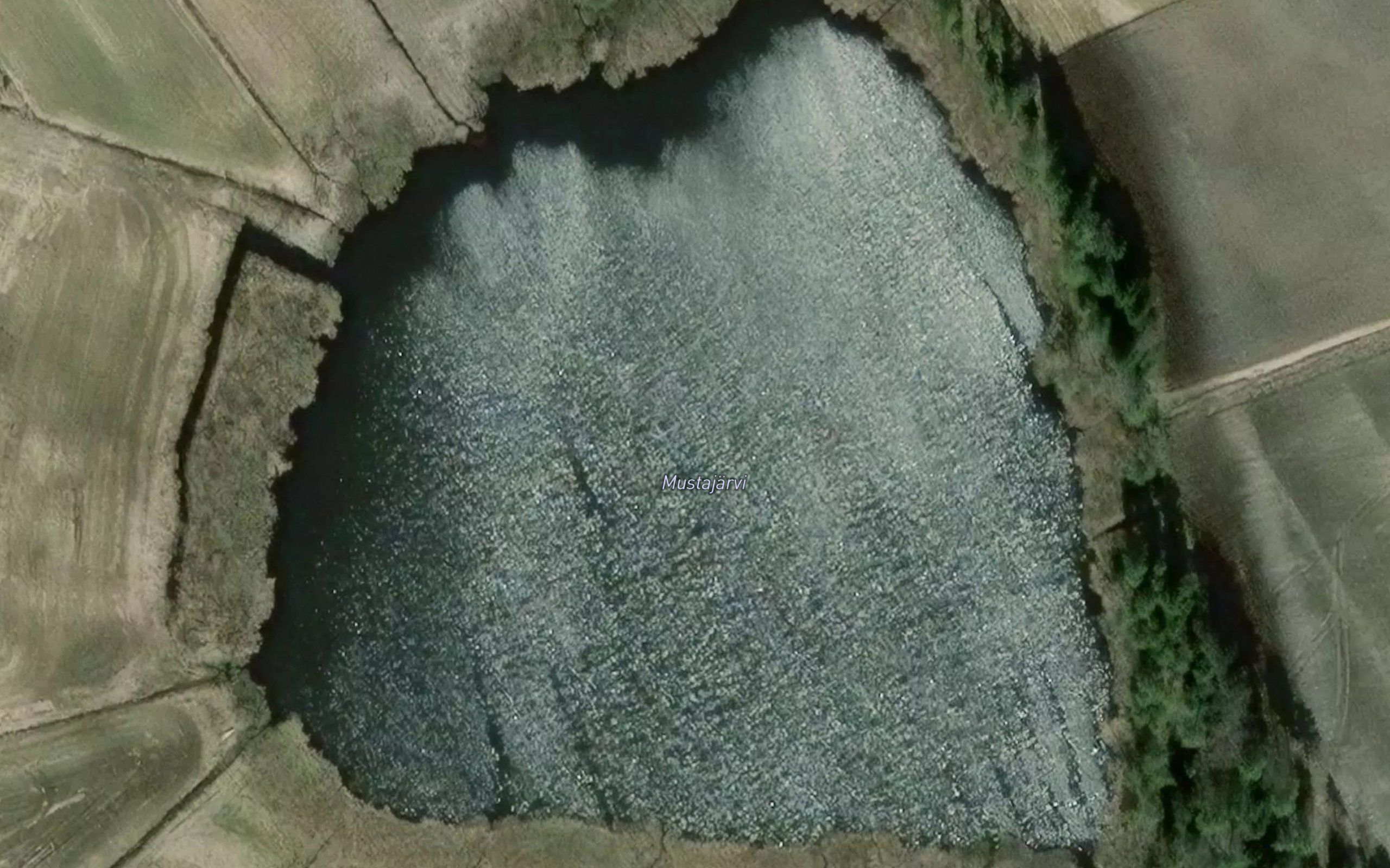 Mustajarvi