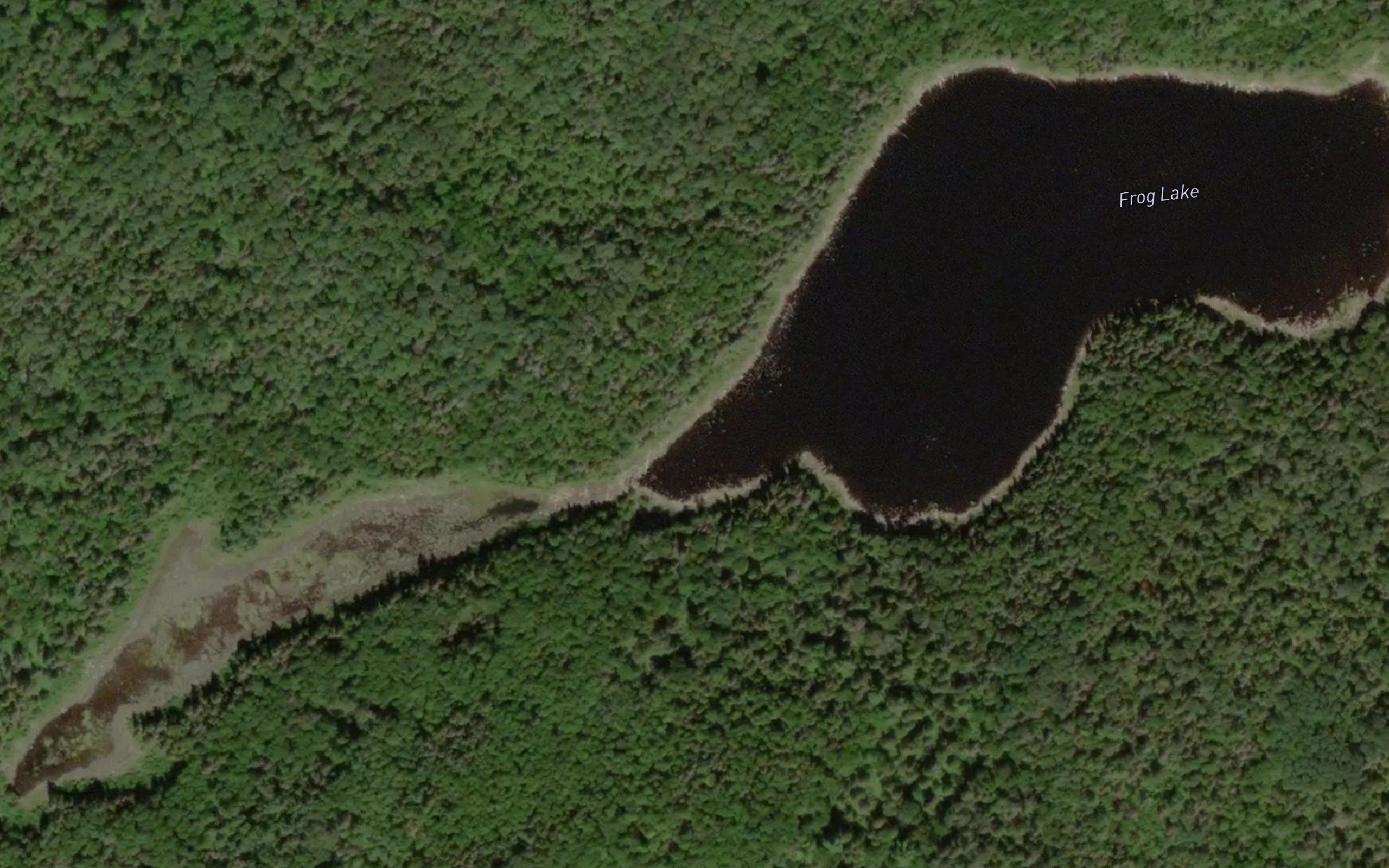 Frog Lake
