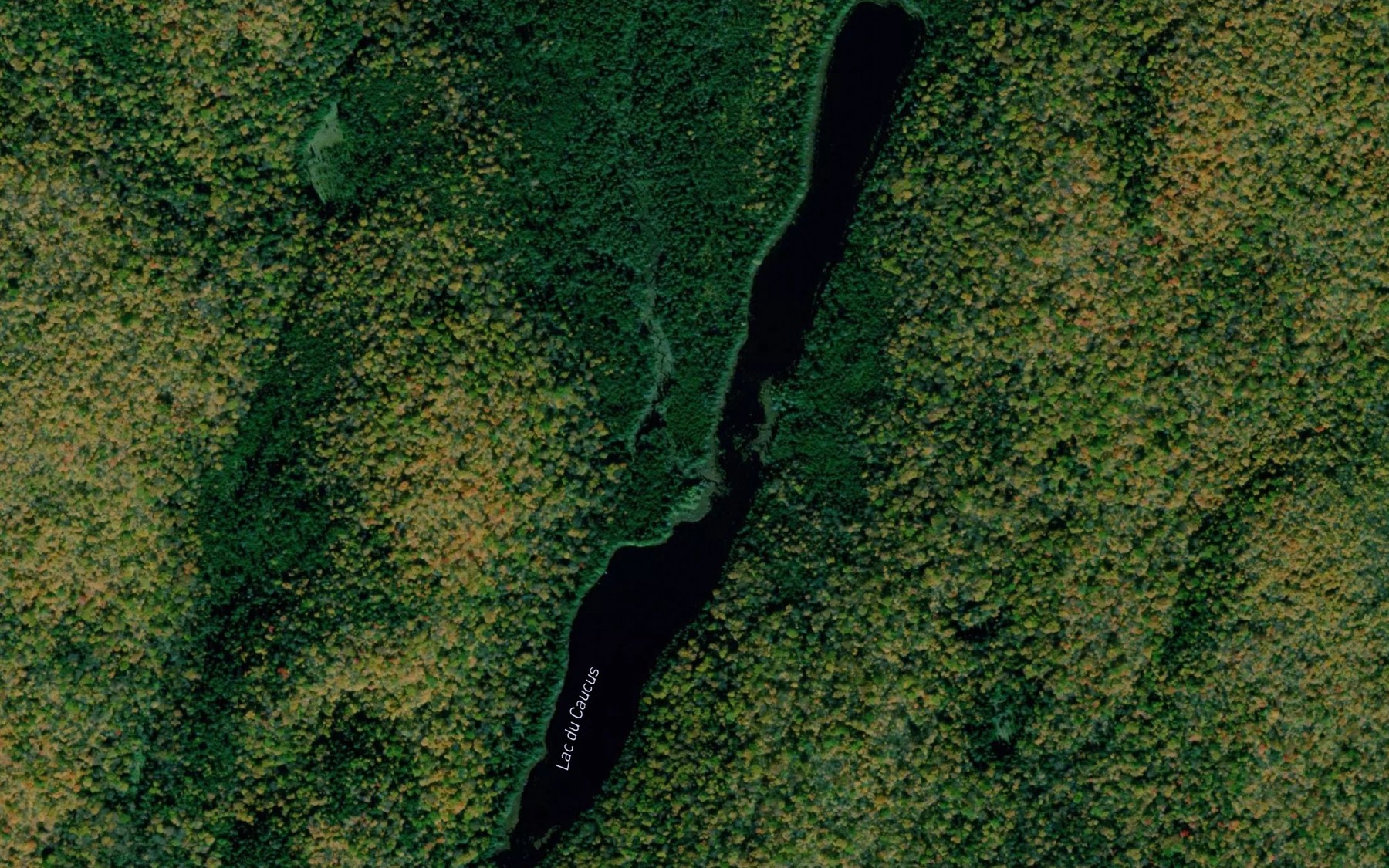 Satellite map of the Lac du Caucus