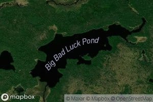 Big Bad Luck Pond