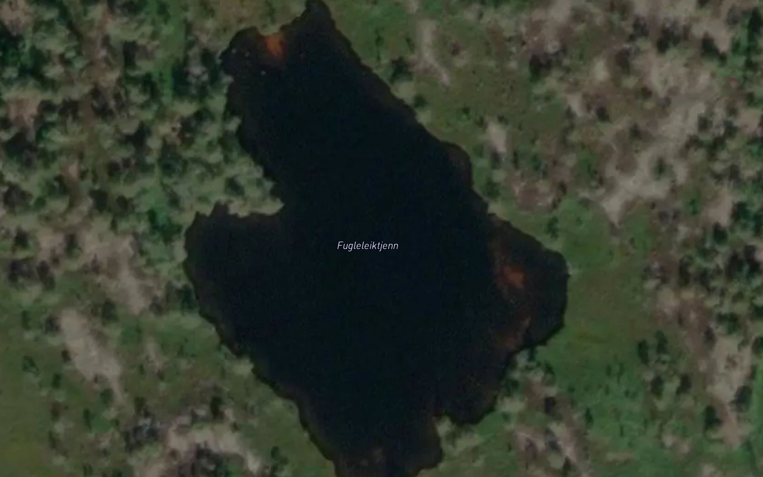 Fugleleiktjenn