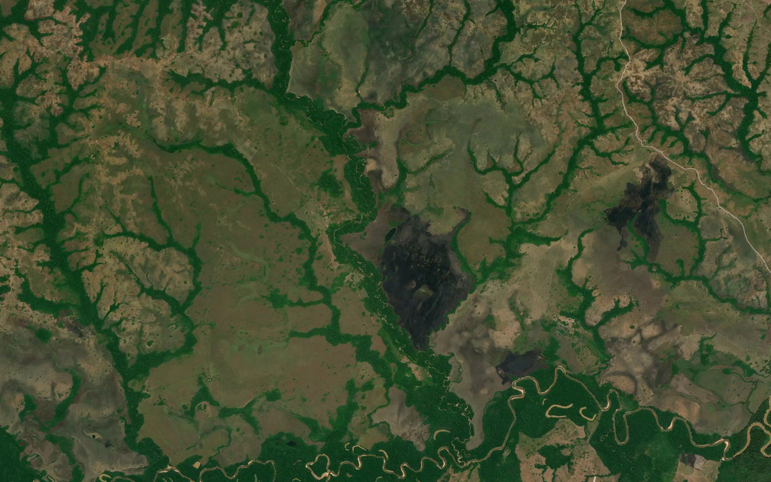 Laguna de los Patos