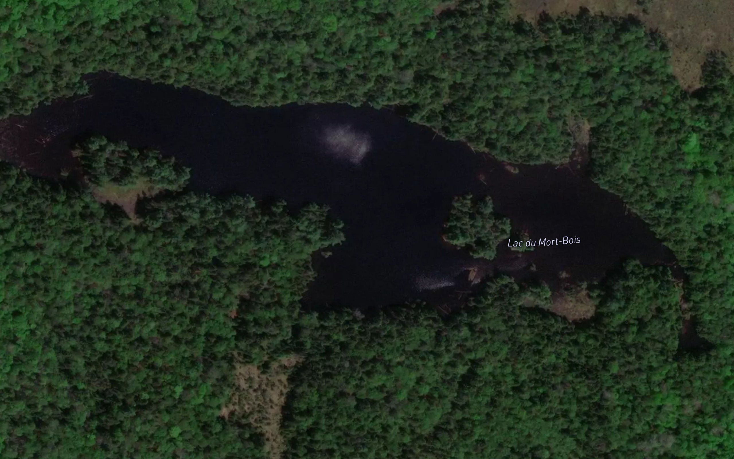 Lac du Mort-Bois