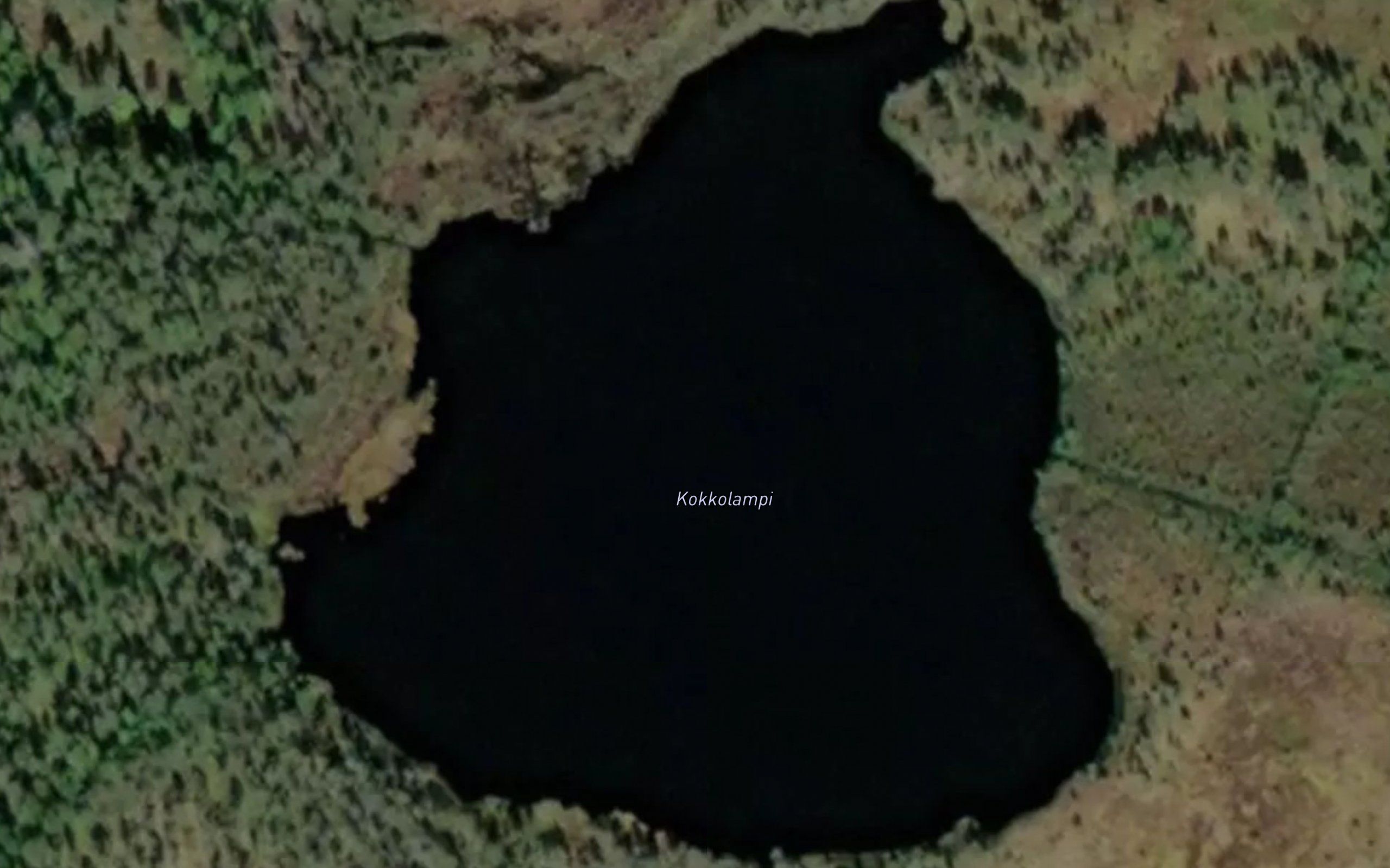 Kokkolampi