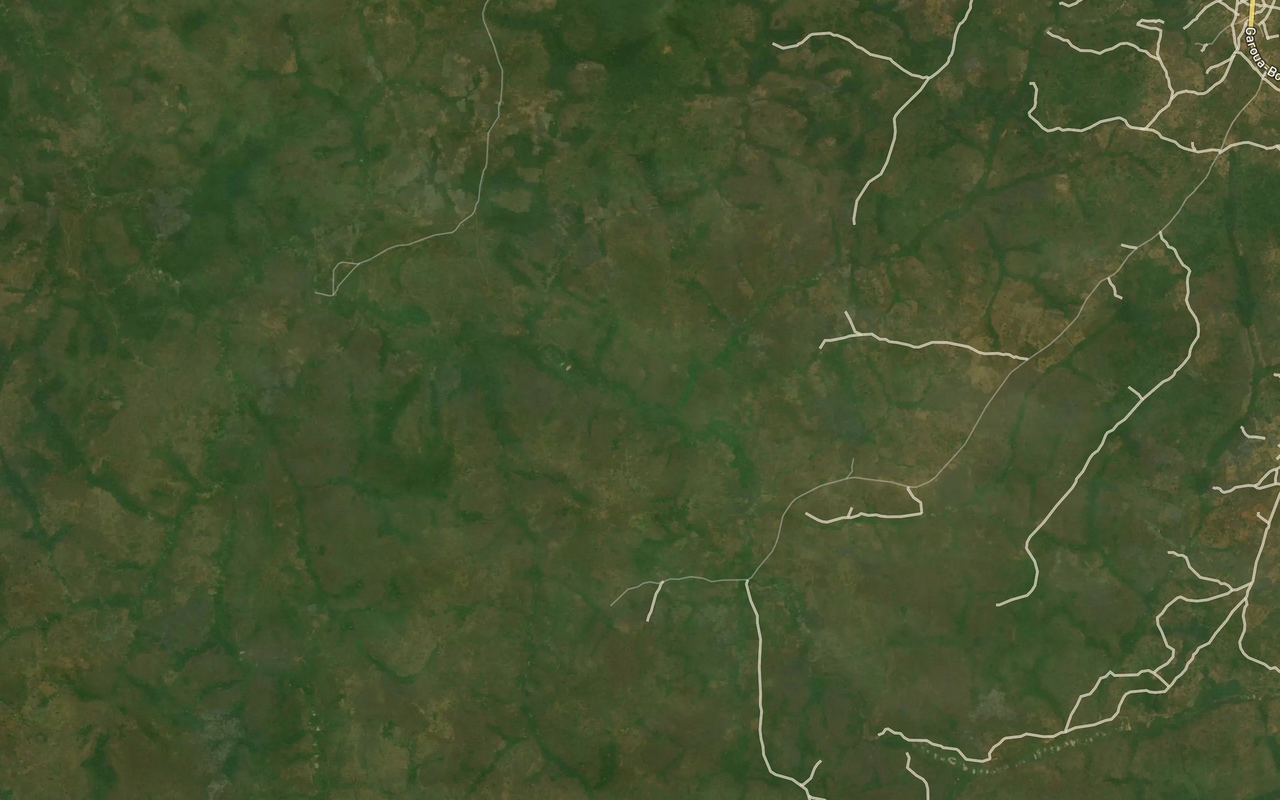 Satellite map of the Bangari