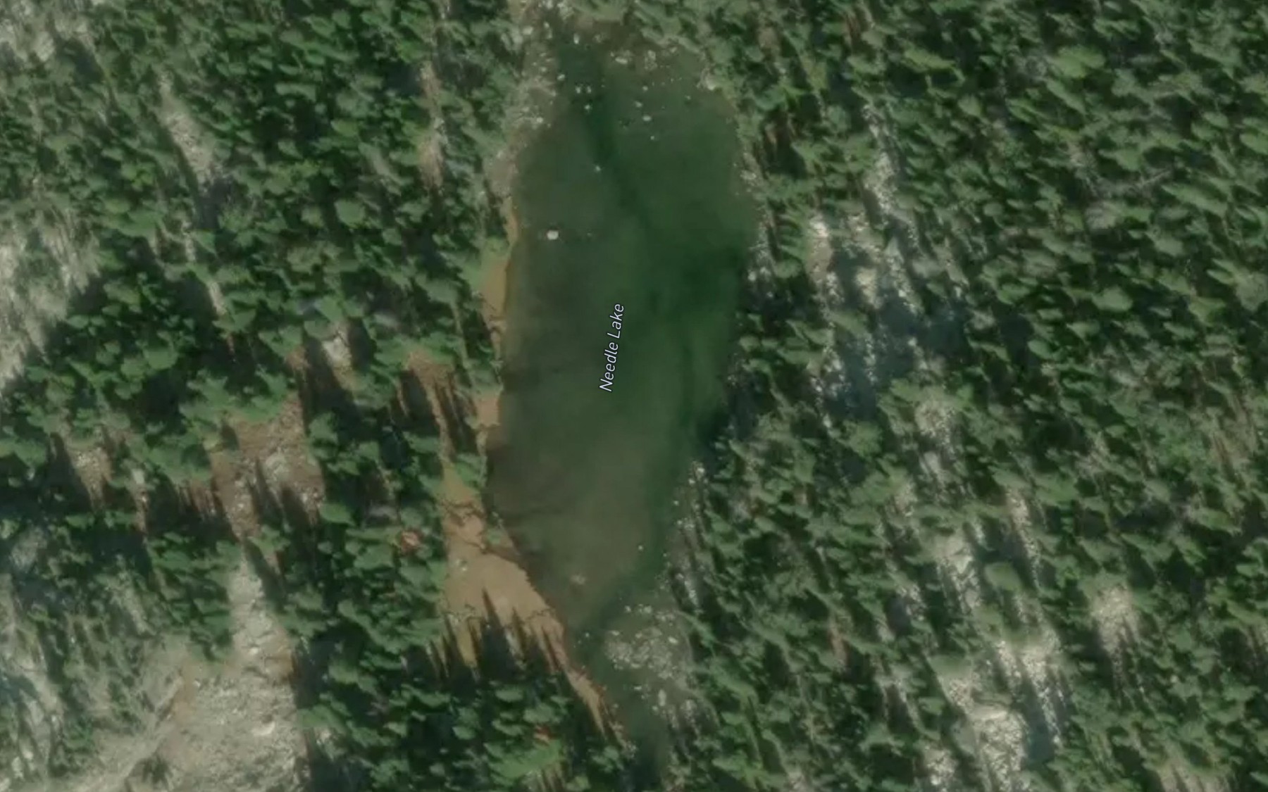 Satellite map of the Needle Lake